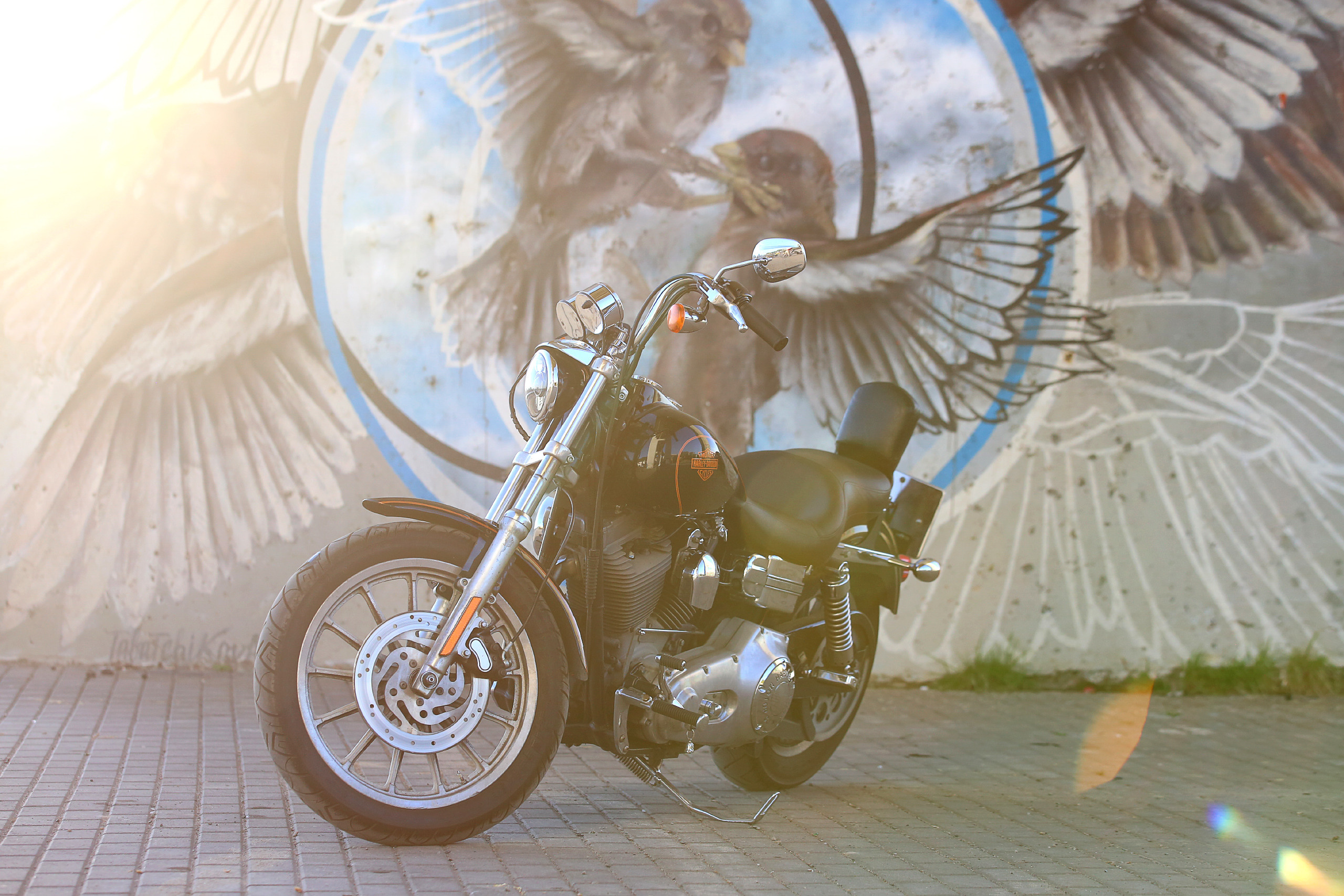 РЕКЛАМА. Reportage photographer in Nizhny Novgorod and Moscow angelina Ilyichev