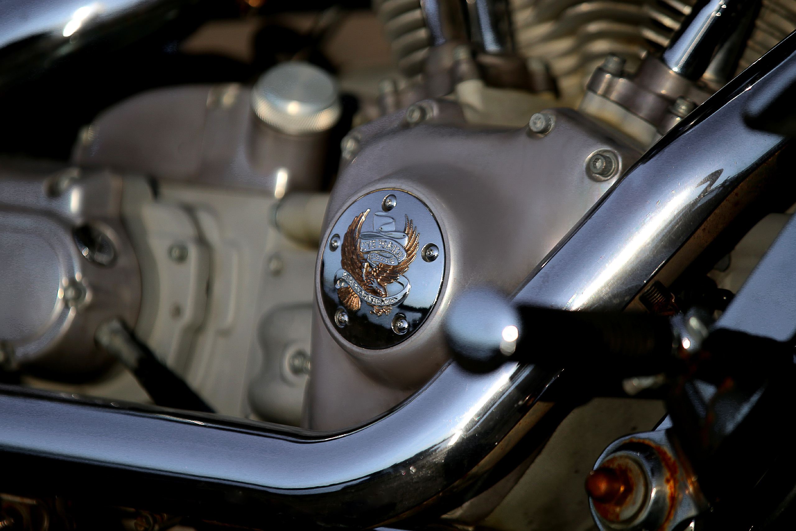 РЕКЛАМА. Reportage photographer in Nizhny Novgorod and Moscow angelina Ilyichev