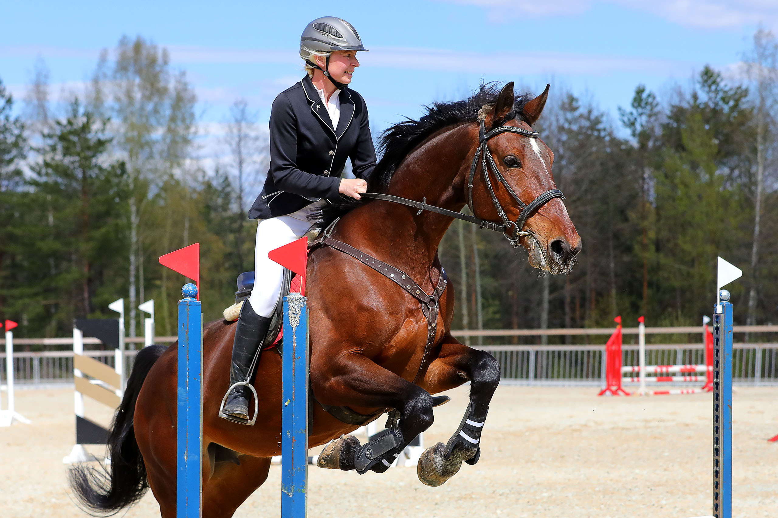 Photographing equestrian sports, equestrian sports, show jumping, hors. Reportage photographer in Nizhny Novgorod and Moscow angelina Ilyichev