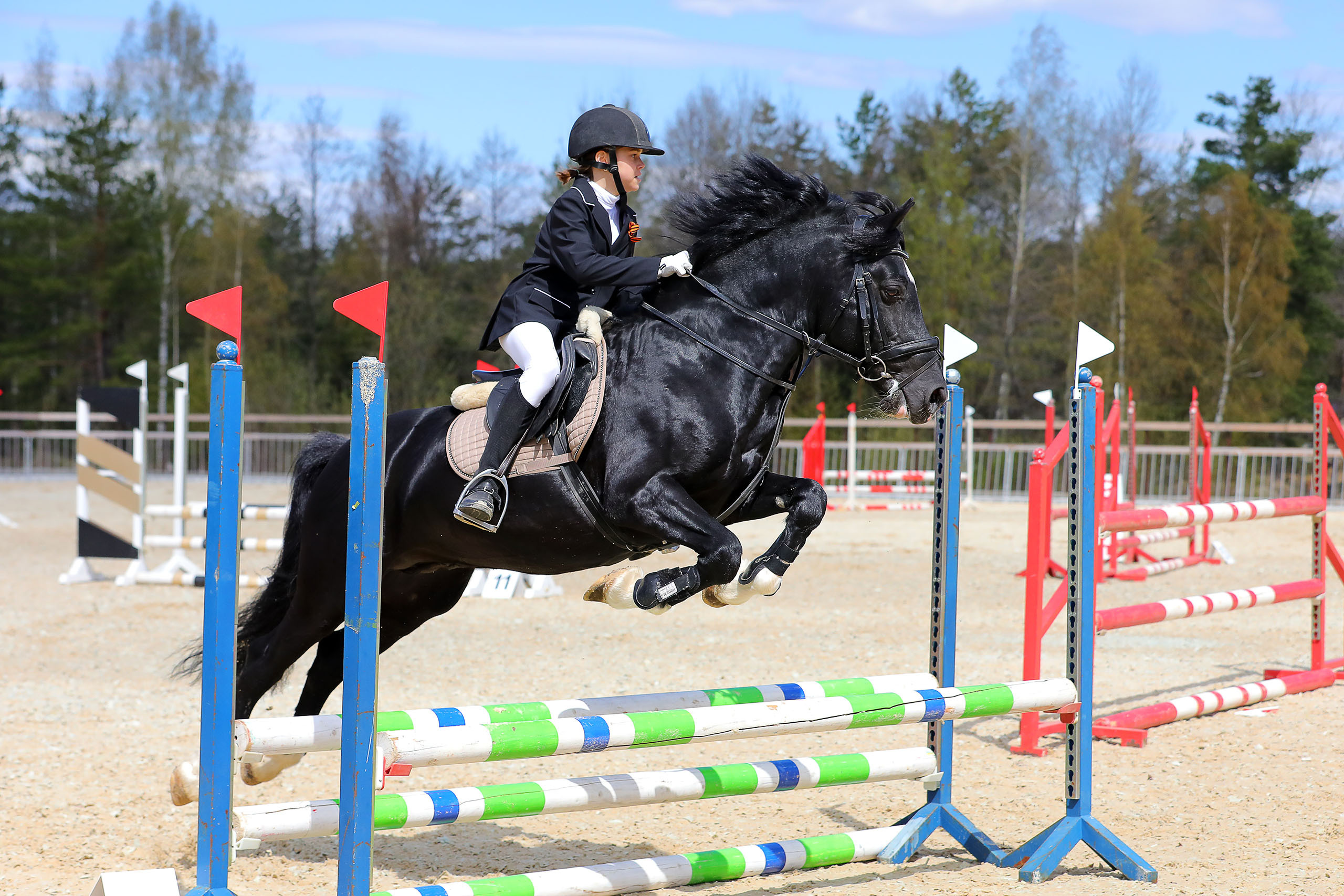 Photographing equestrian sports, equestrian sports, show jumping, hors. Reportage photographer in Nizhny Novgorod and Moscow angelina Ilyichev