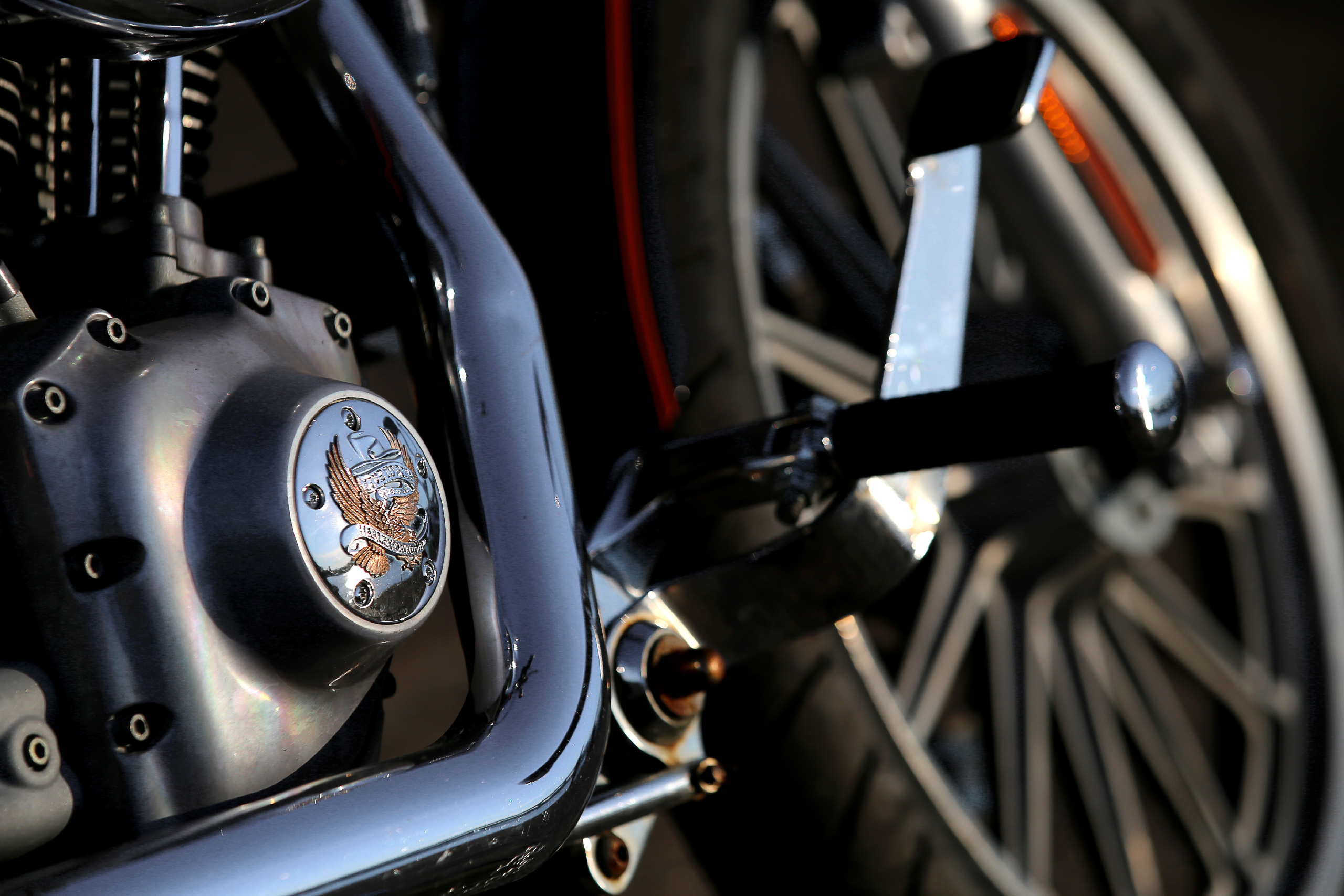 РЕКЛАМА. Reportage photographer in Nizhny Novgorod and Moscow angelina Ilyichev