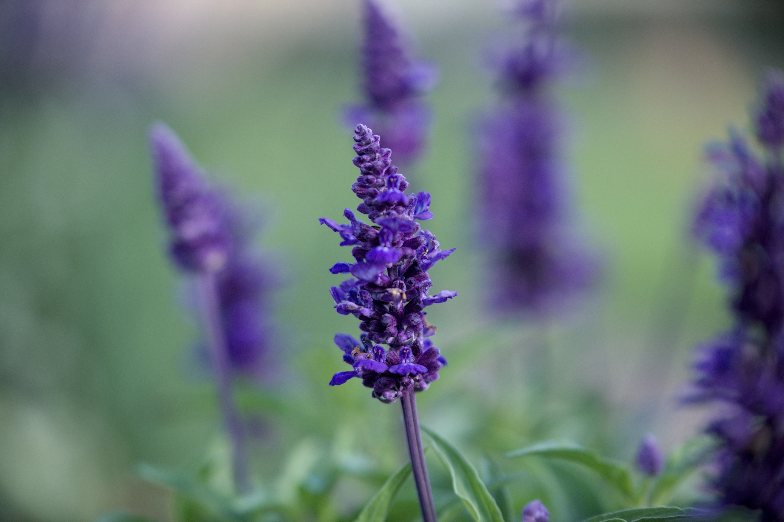 Природа. Фото детских спортивных мероприятий и всякое интересное через объектив