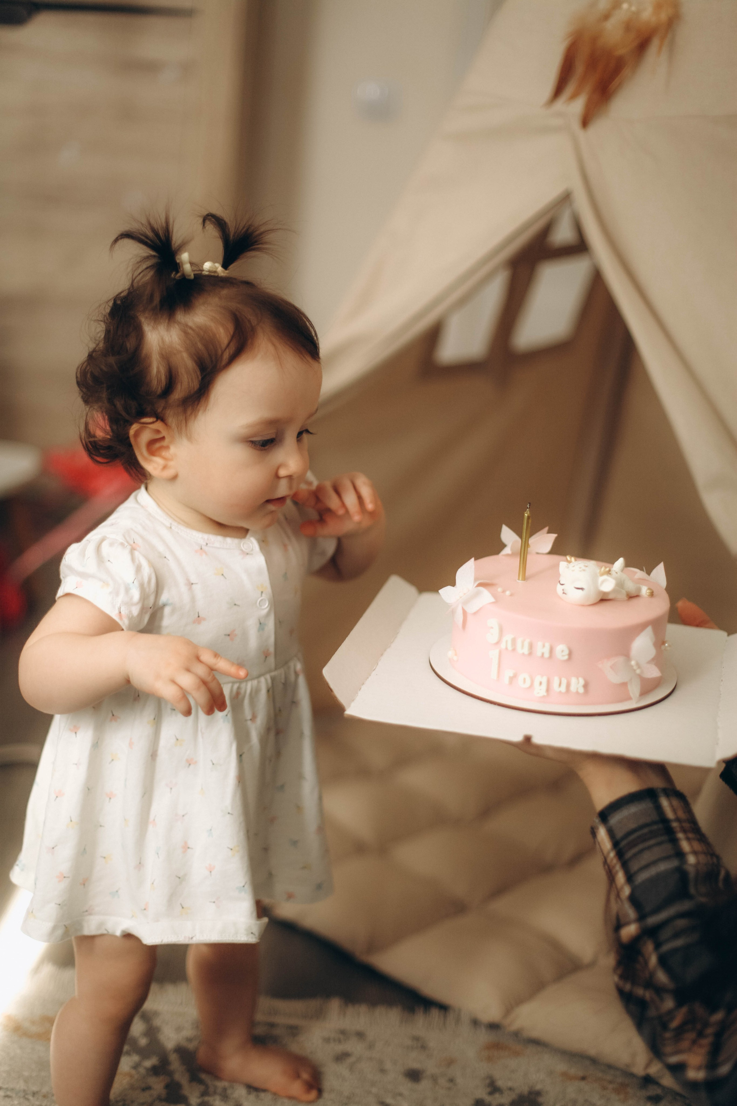 Элина. Семейная фотография в Санкт-Петербурге Елизавета Шепель