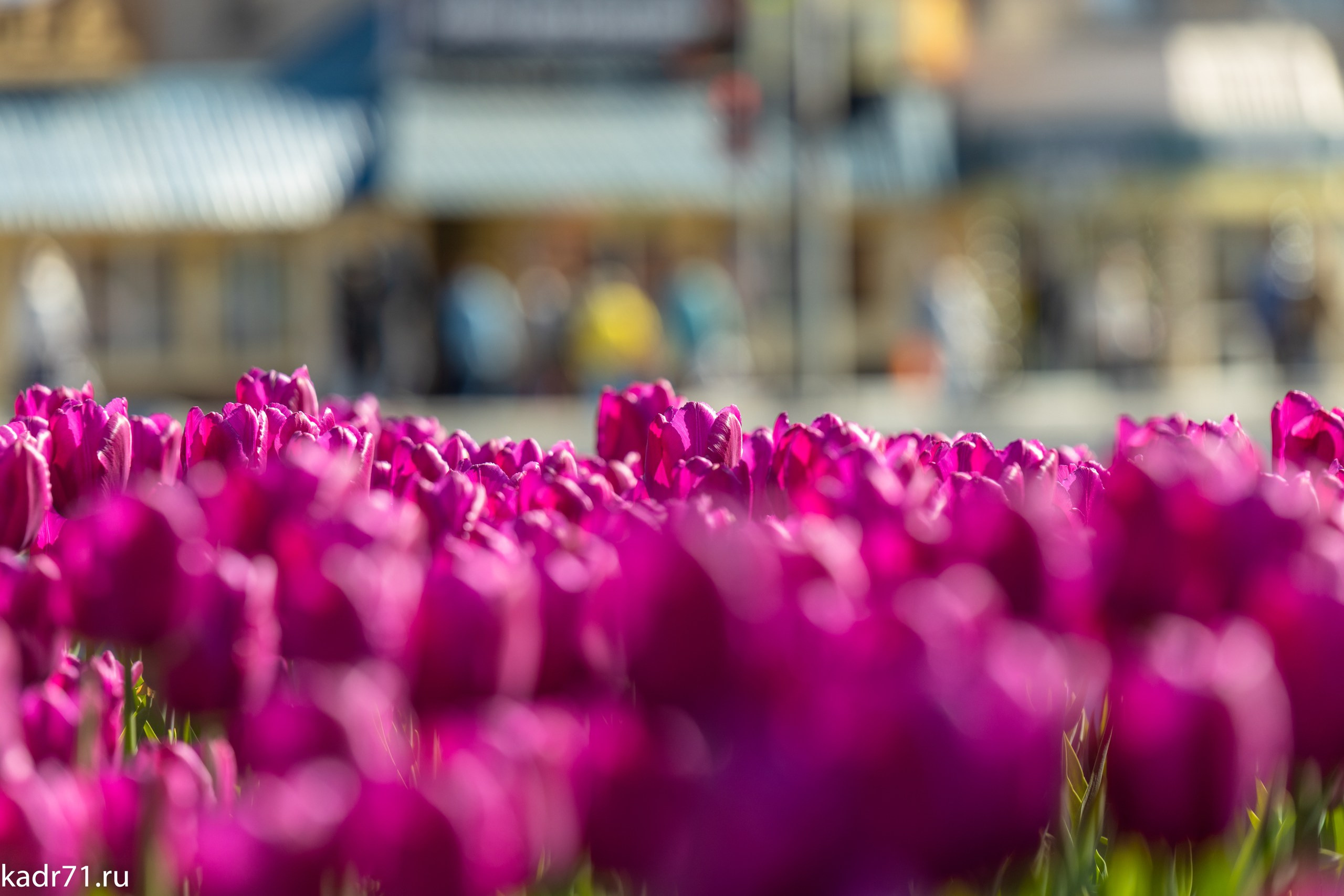 Пересечение улицы Дмитрия Ульянова и Красноармейского проспекта. Фотограф в Туле Крупский АнДРей. Фотостудия «КАДР71» в Туле