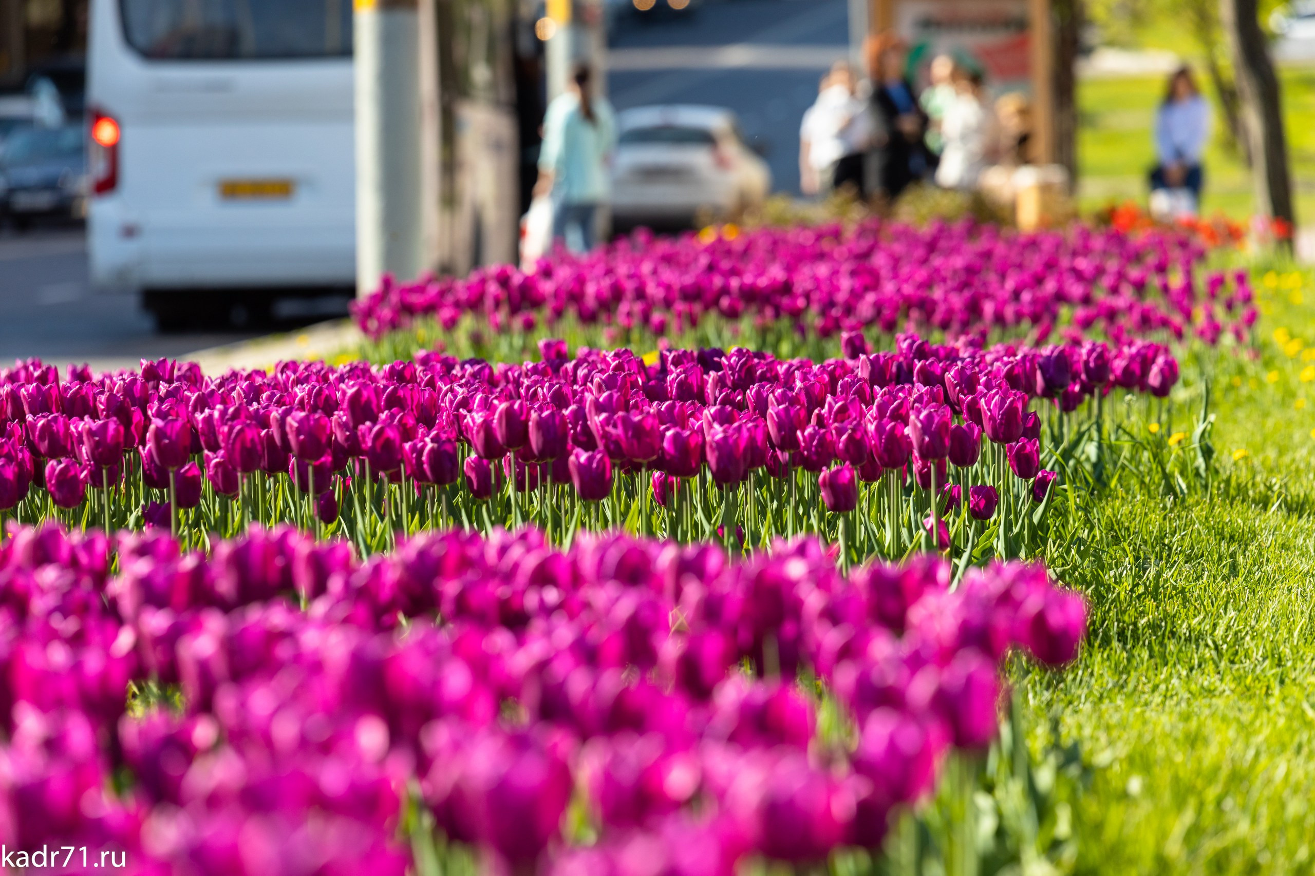 Пересечение улицы Дмитрия Ульянова и Красноармейского проспекта. Фотограф в Туле Крупский АнДРей. Фотостудия «КАДР71» в Туле