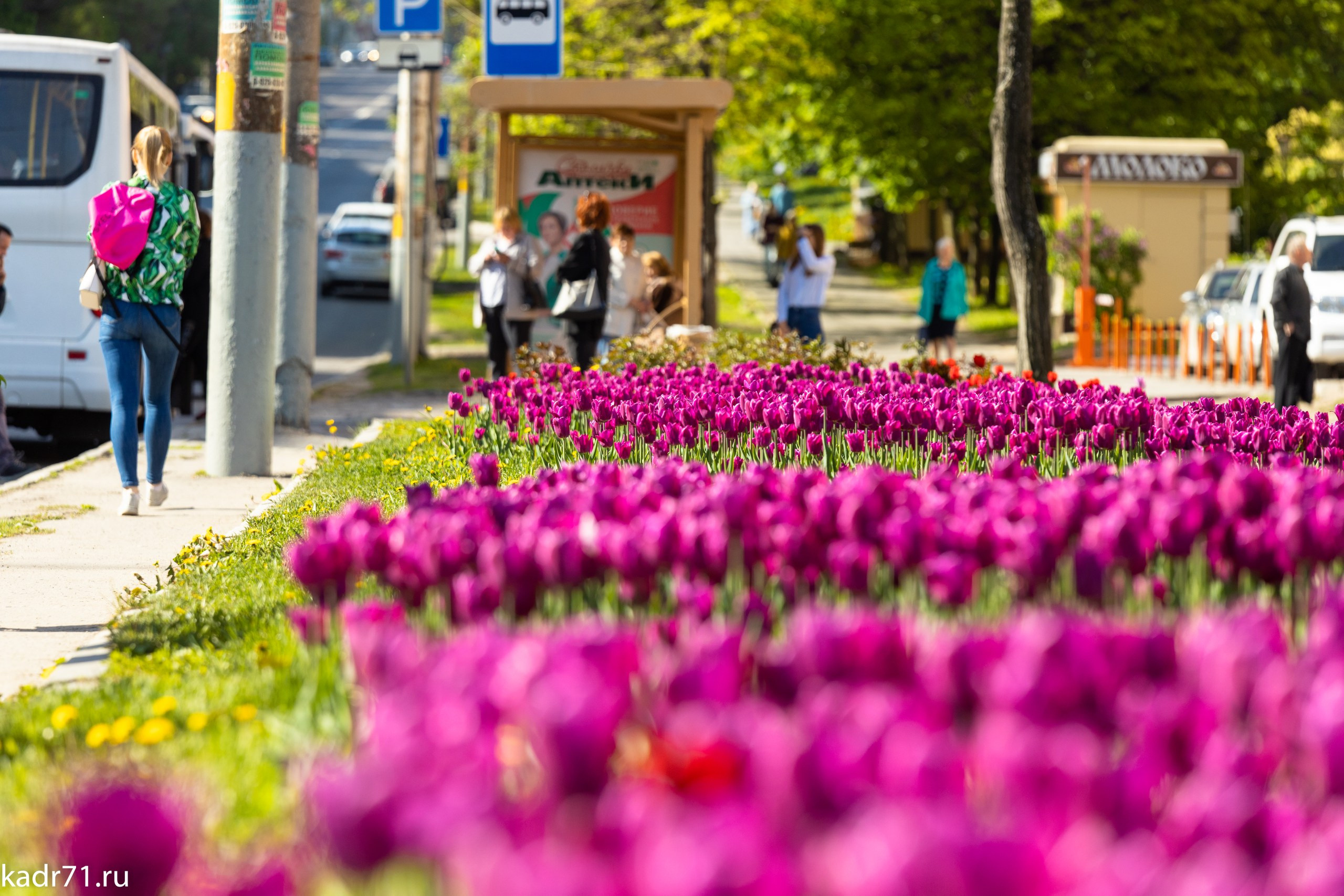 Пересечение улицы Дмитрия Ульянова и Красноармейского проспекта. Фотограф в Туле Крупский АнДРей. Фотостудия «КАДР71» в Туле