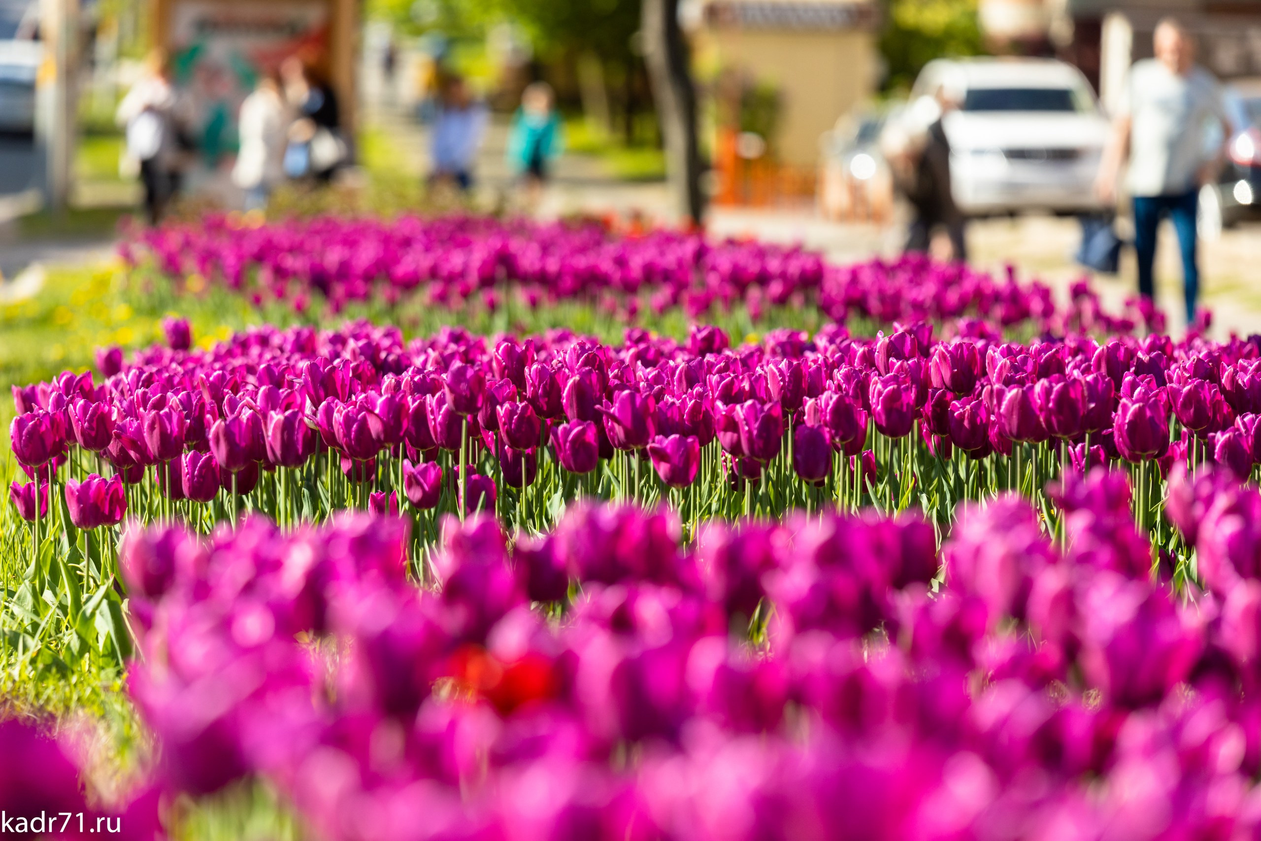 Пересечение улицы Дмитрия Ульянова и Красноармейского проспекта. Фотограф в Туле Крупский АнДРей. Фотостудия «КАДР71» в Туле