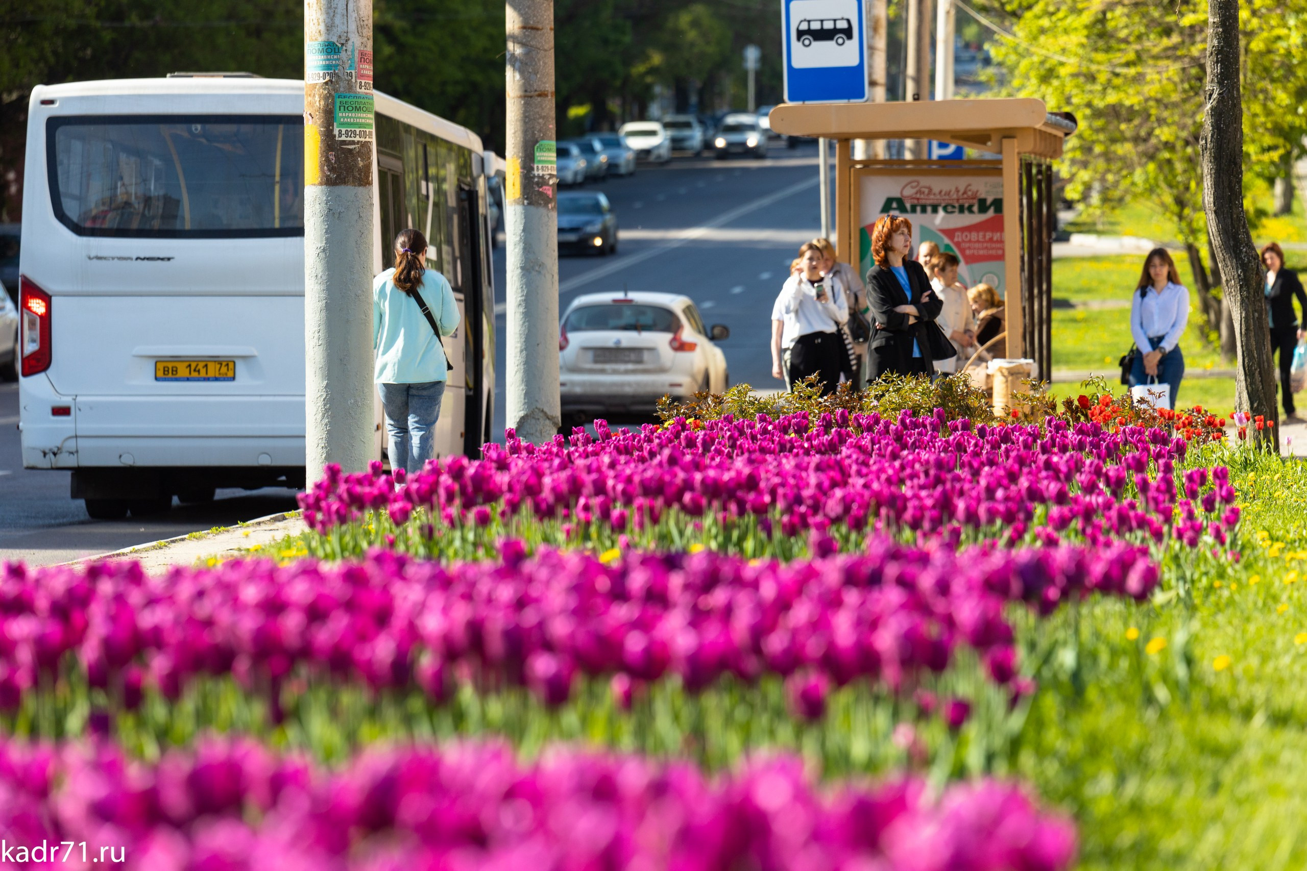 Пересечение улицы Дмитрия Ульянова и Красноармейского проспекта. Фотограф в Туле Крупский АнДРей. Фотостудия «КАДР71» в Туле