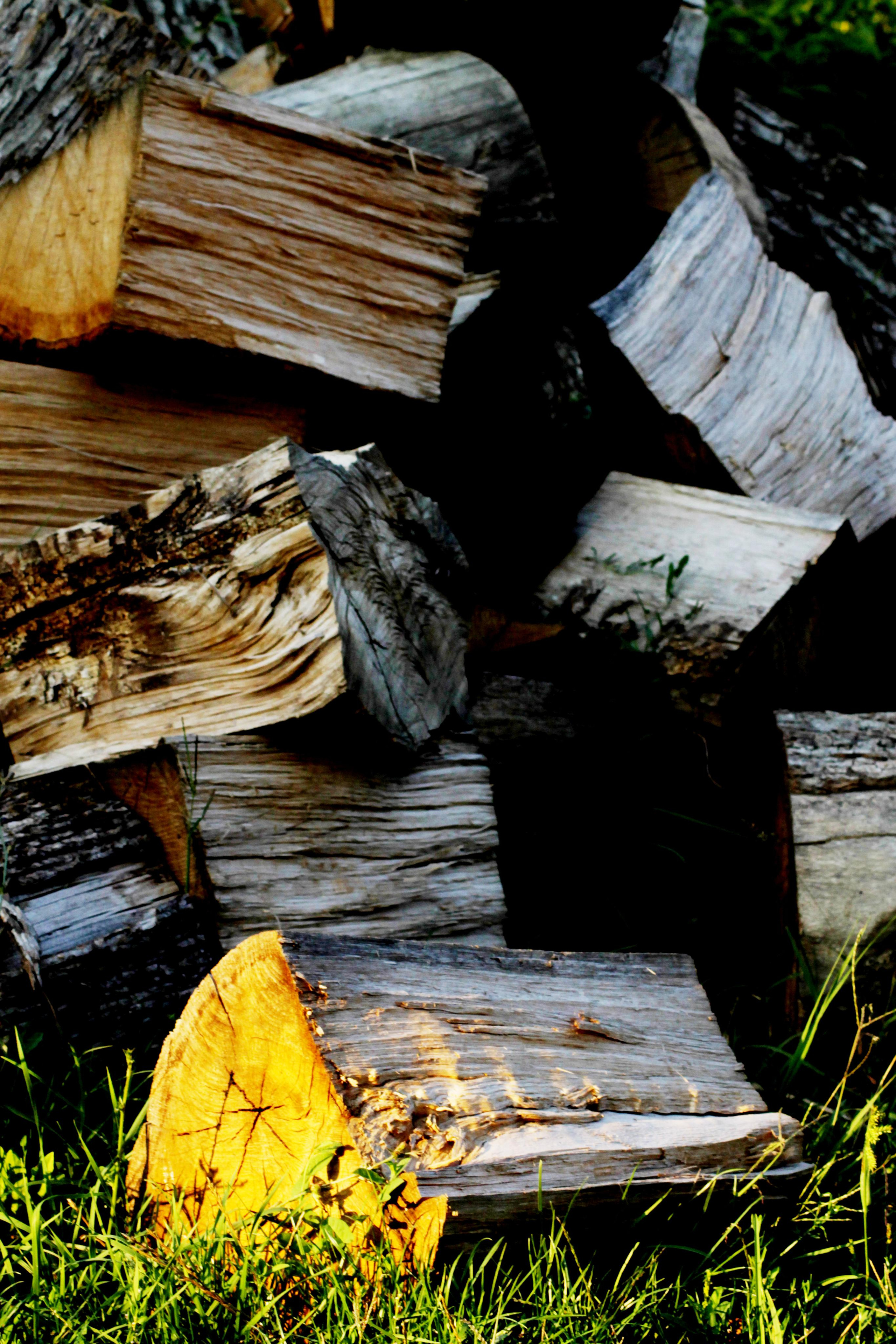 РоБин. Репортажный фотограф Антон Лаврененков