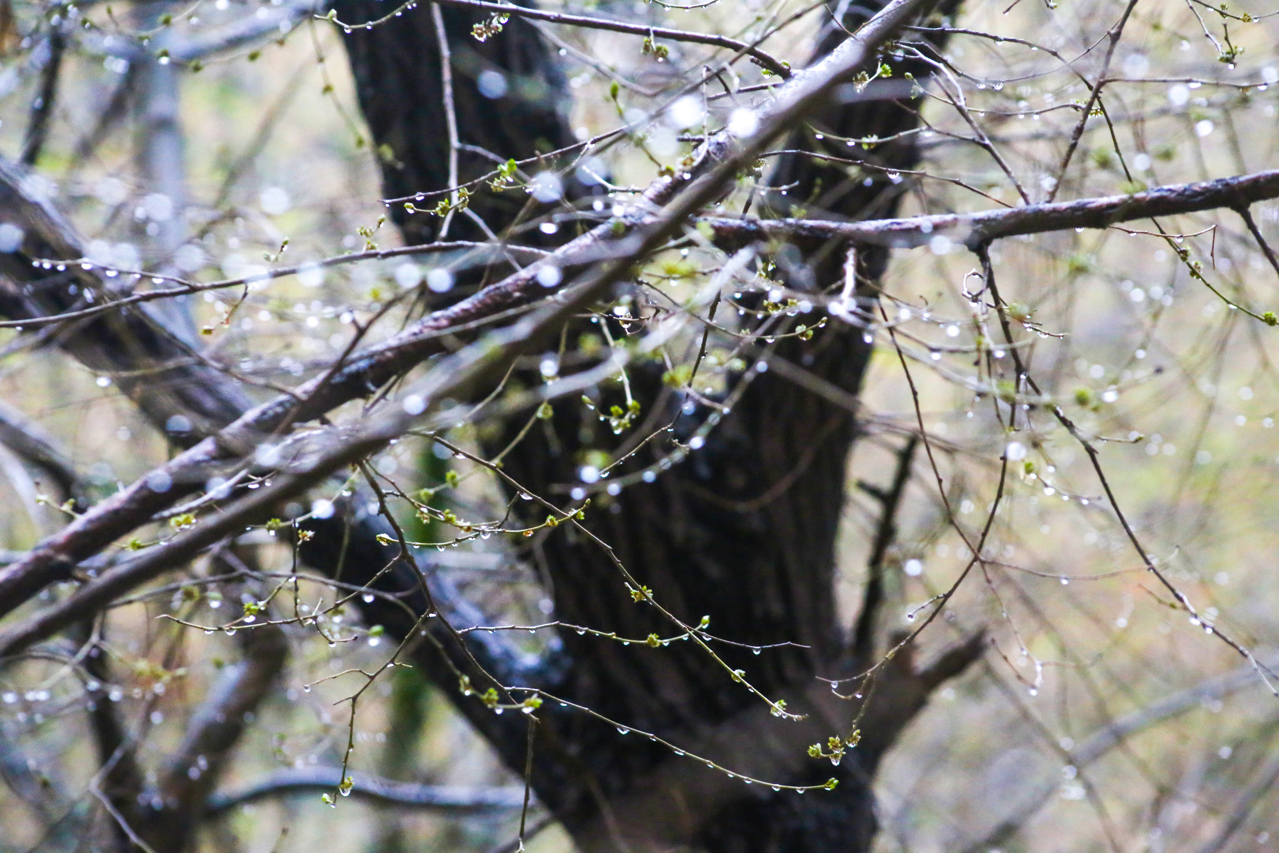 Чертовщина всякая. Репортажный фотограф Антон Лаврененков