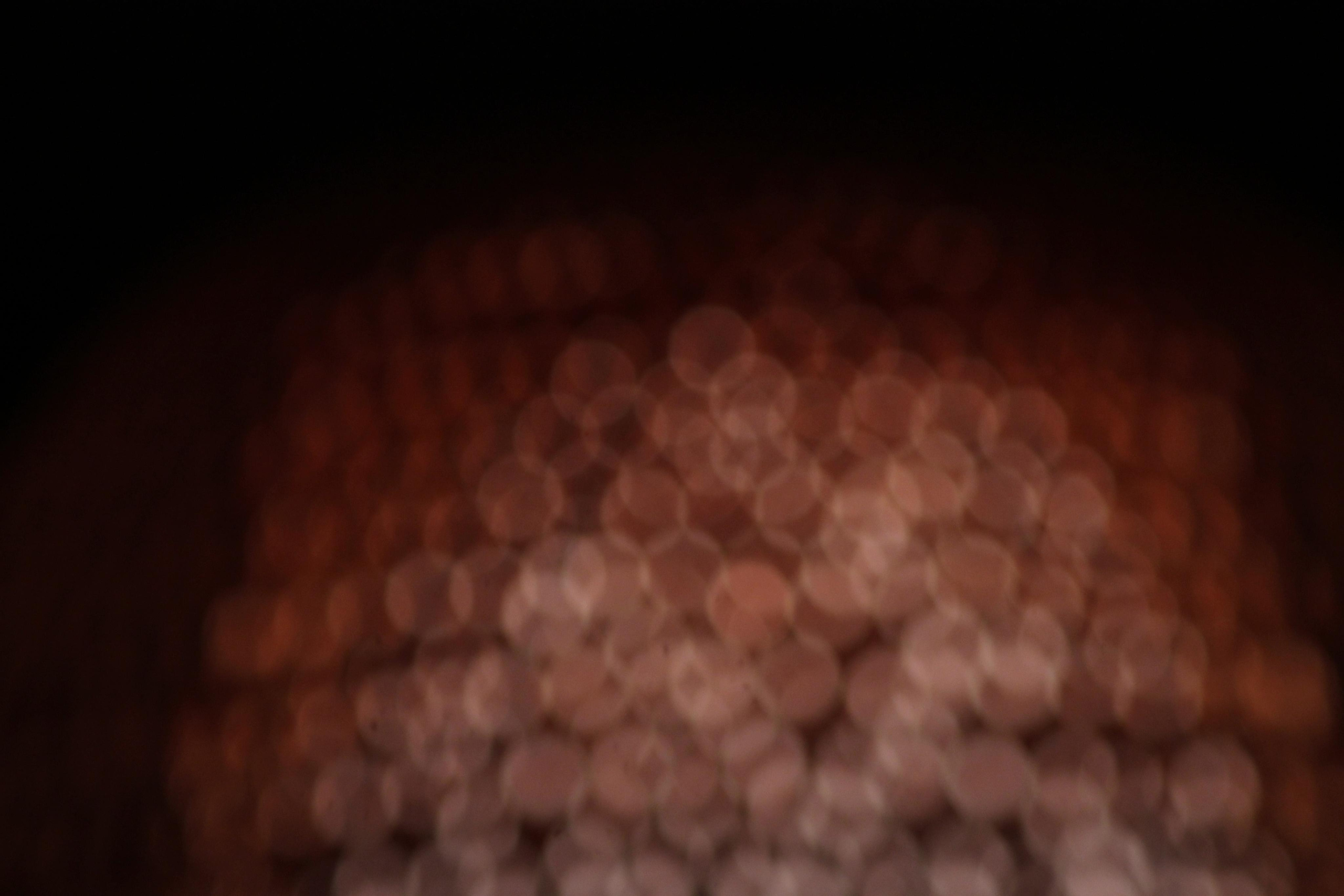 РоБин. Репортажный фотограф Антон Лаврененков