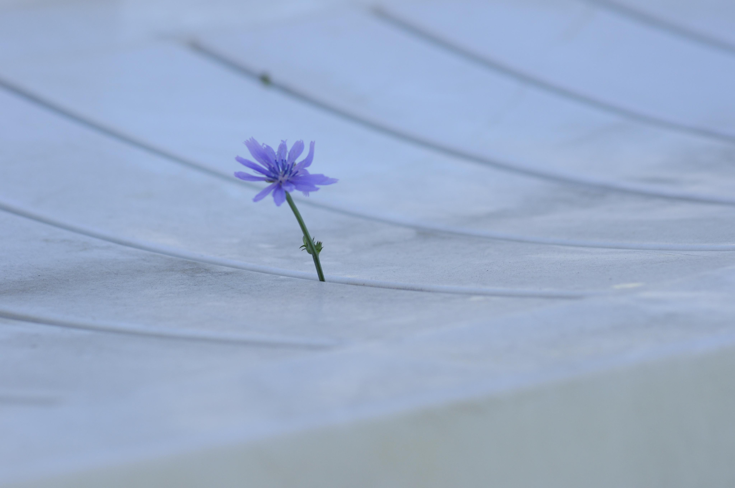 РоБин. Репортажный фотограф Антон Лаврененков