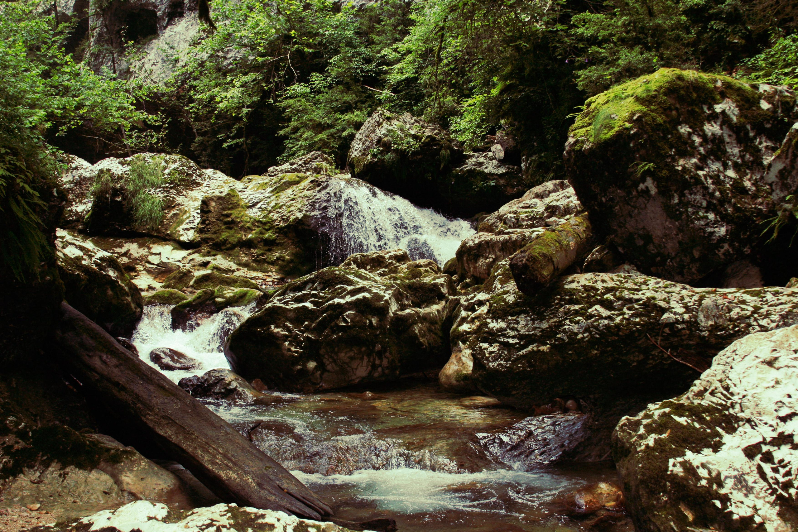 Вольт. Репортажный фотограф Антон Лаврененков
