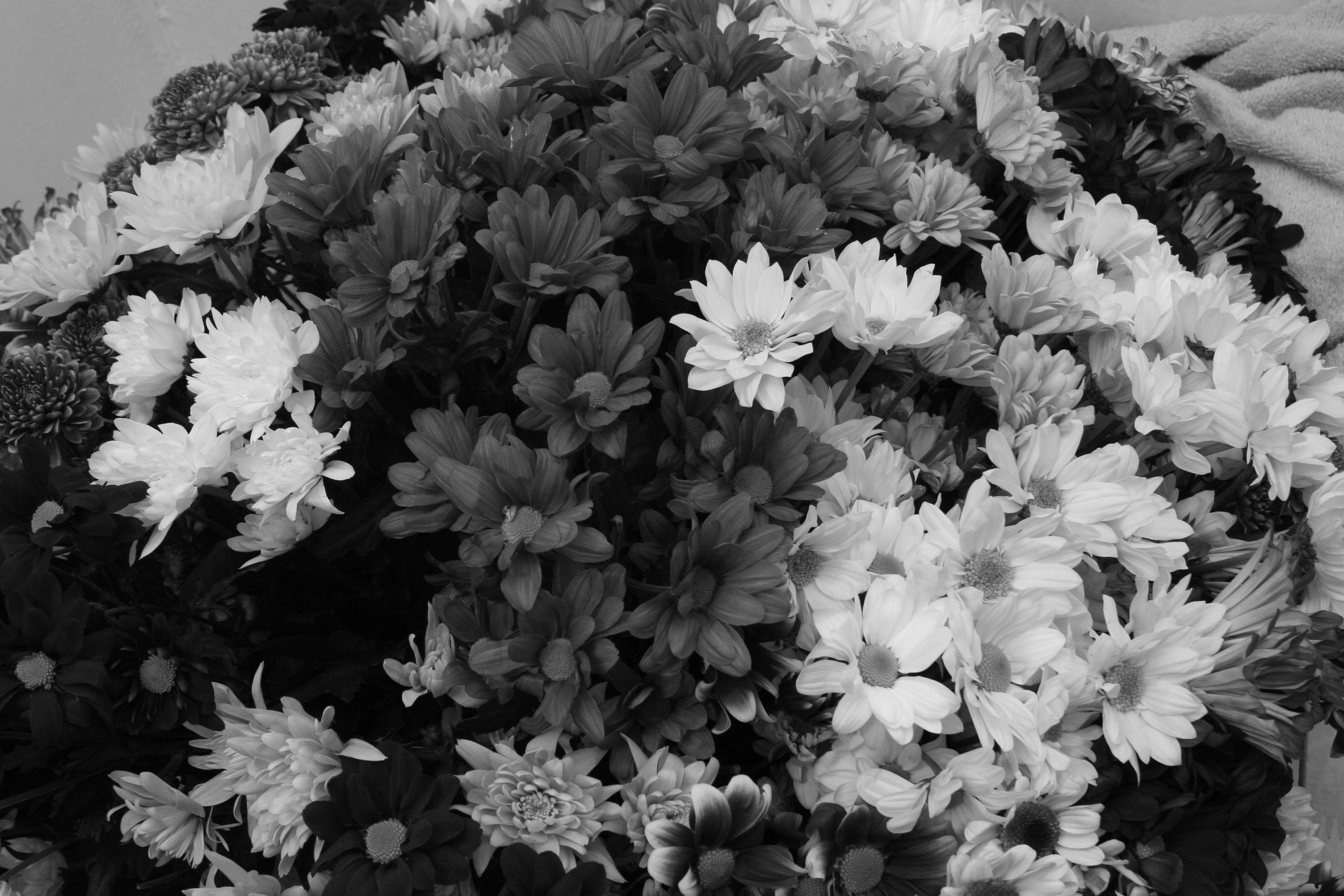 Ч\Б. Репортажный фотограф Антон Лаврененков