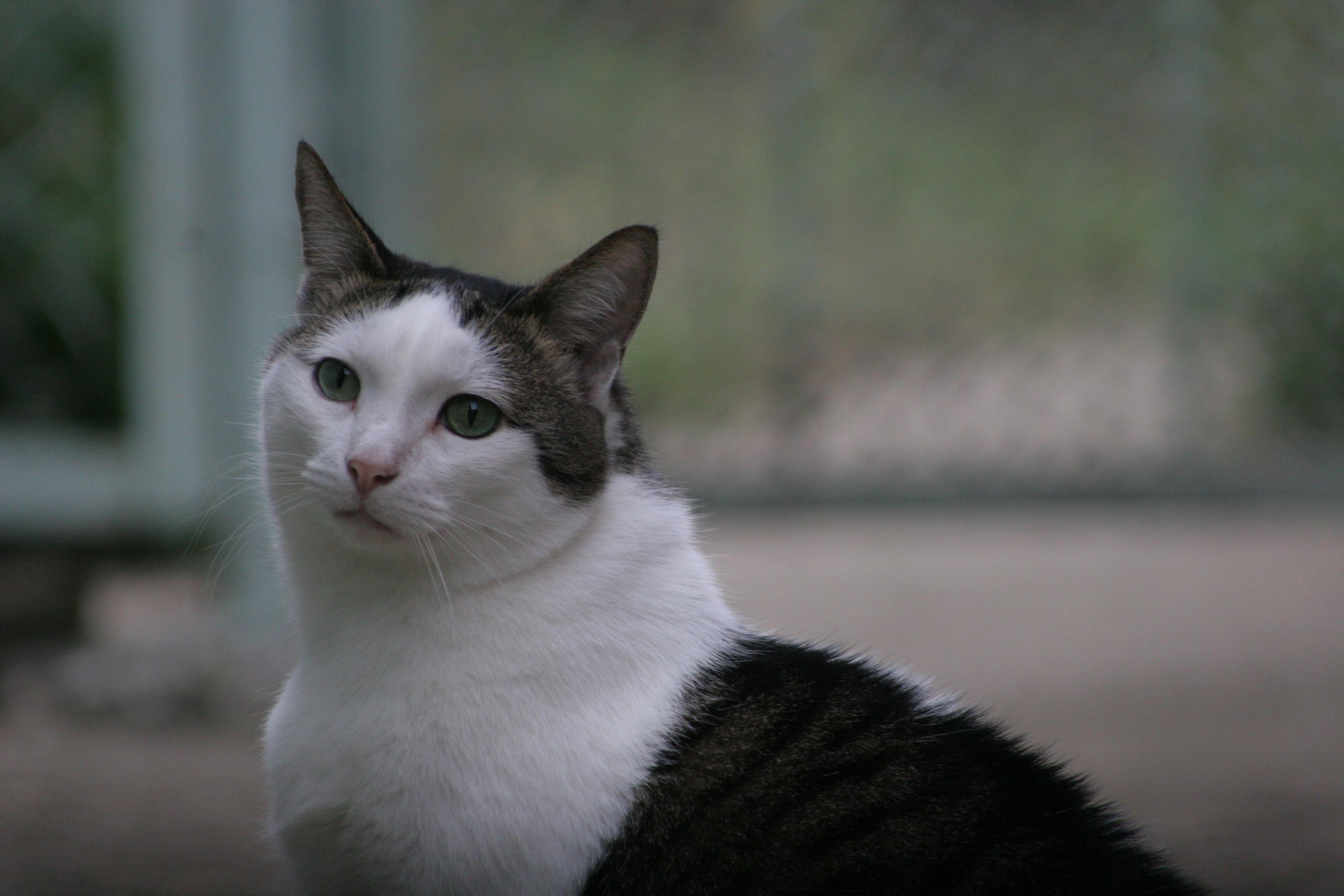 Вольт. Репортажный фотограф Антон Лаврененков