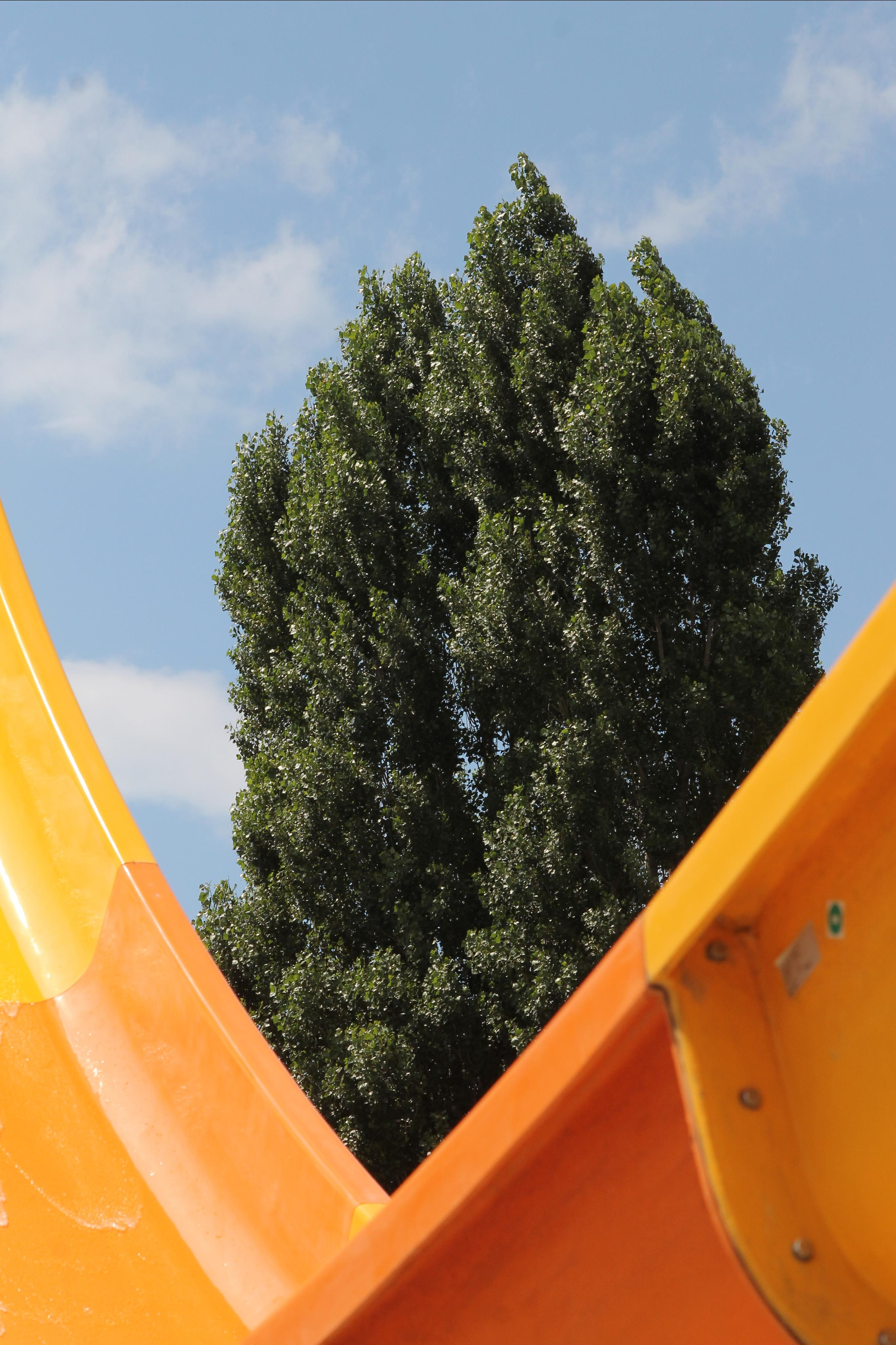 Вольт. Репортажный фотограф Антон Лаврененков