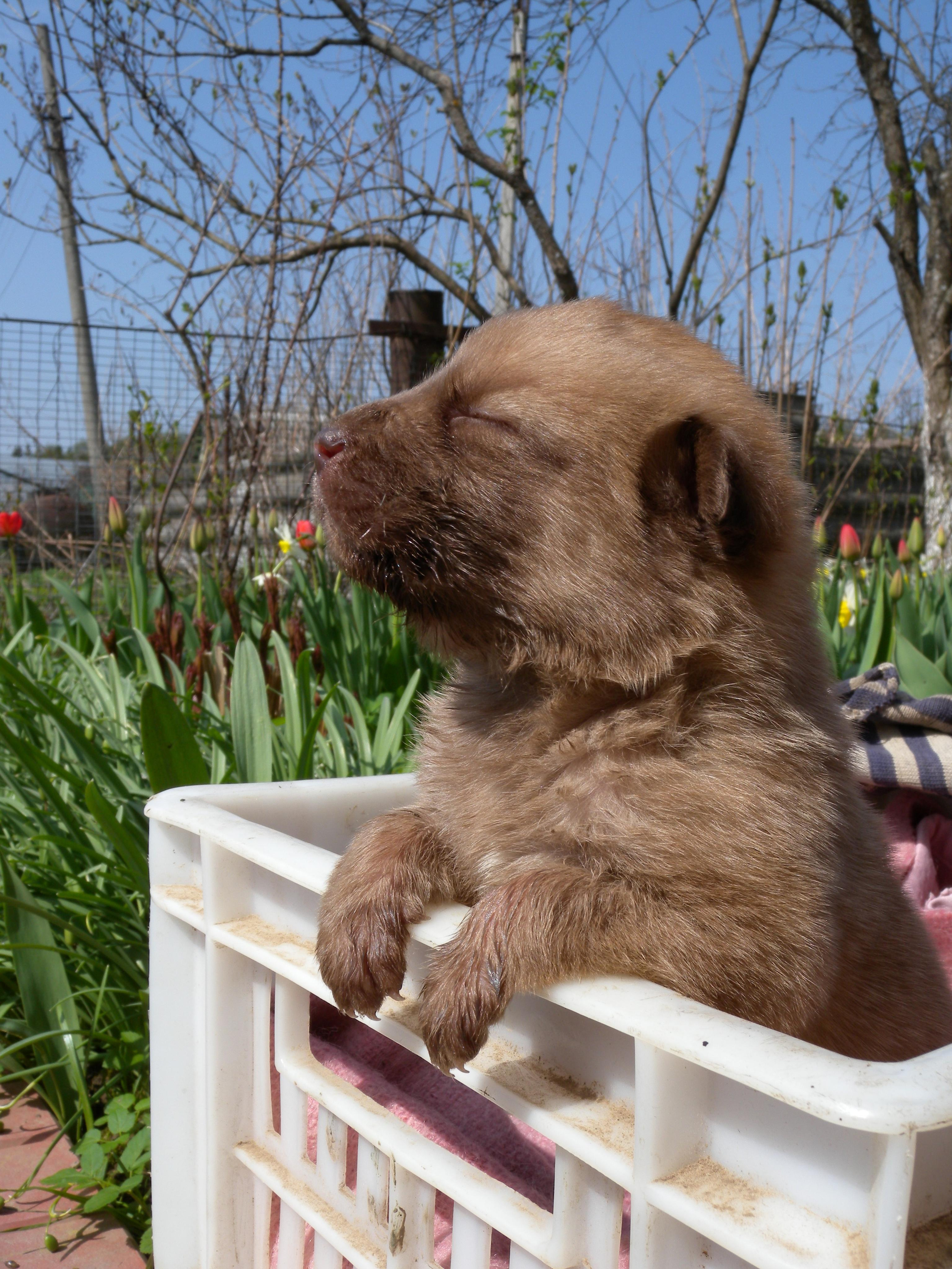 Вольт. Репортажный фотограф Антон Лаврененков