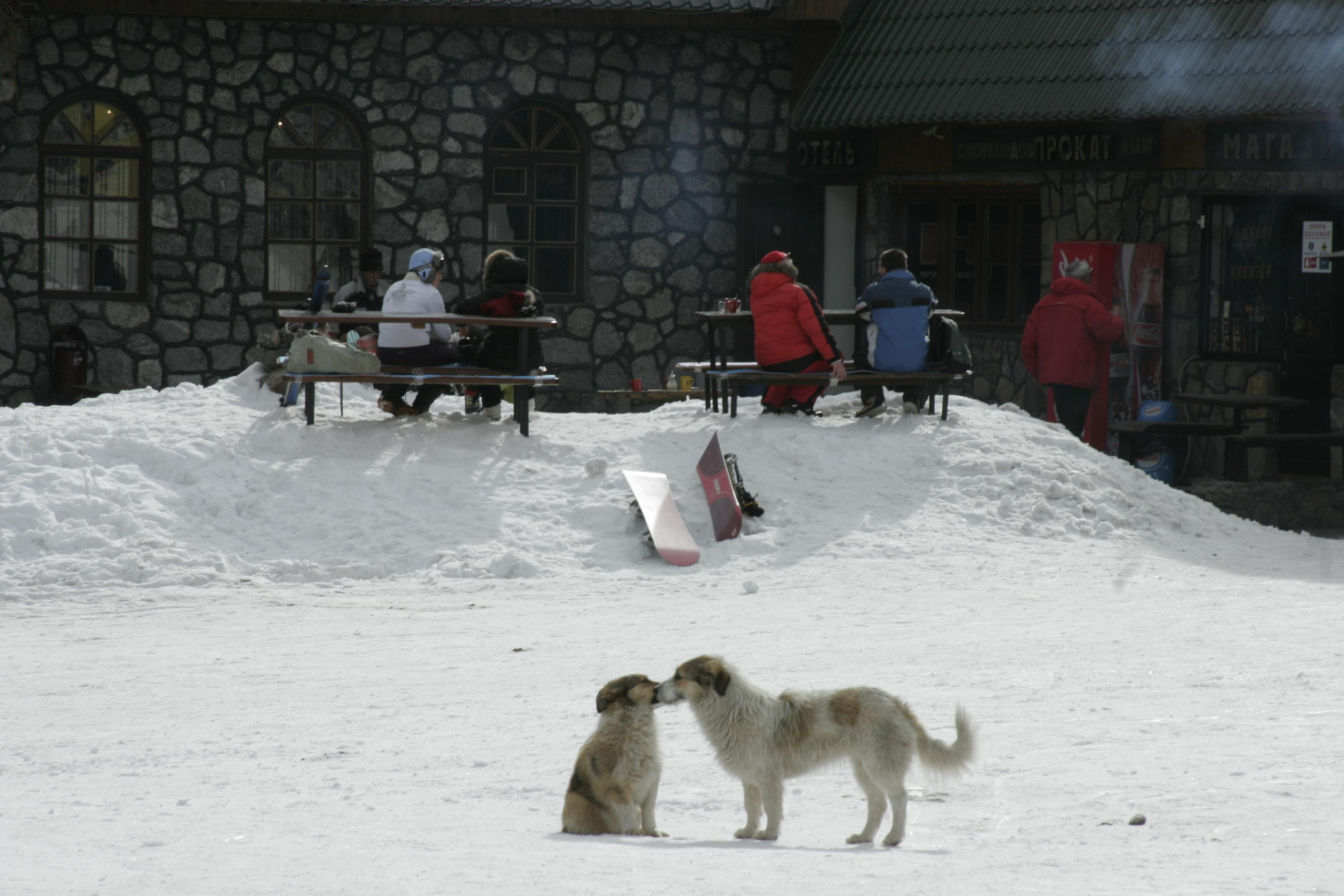 РоБин. Репортажный фотограф Антон Лаврененков