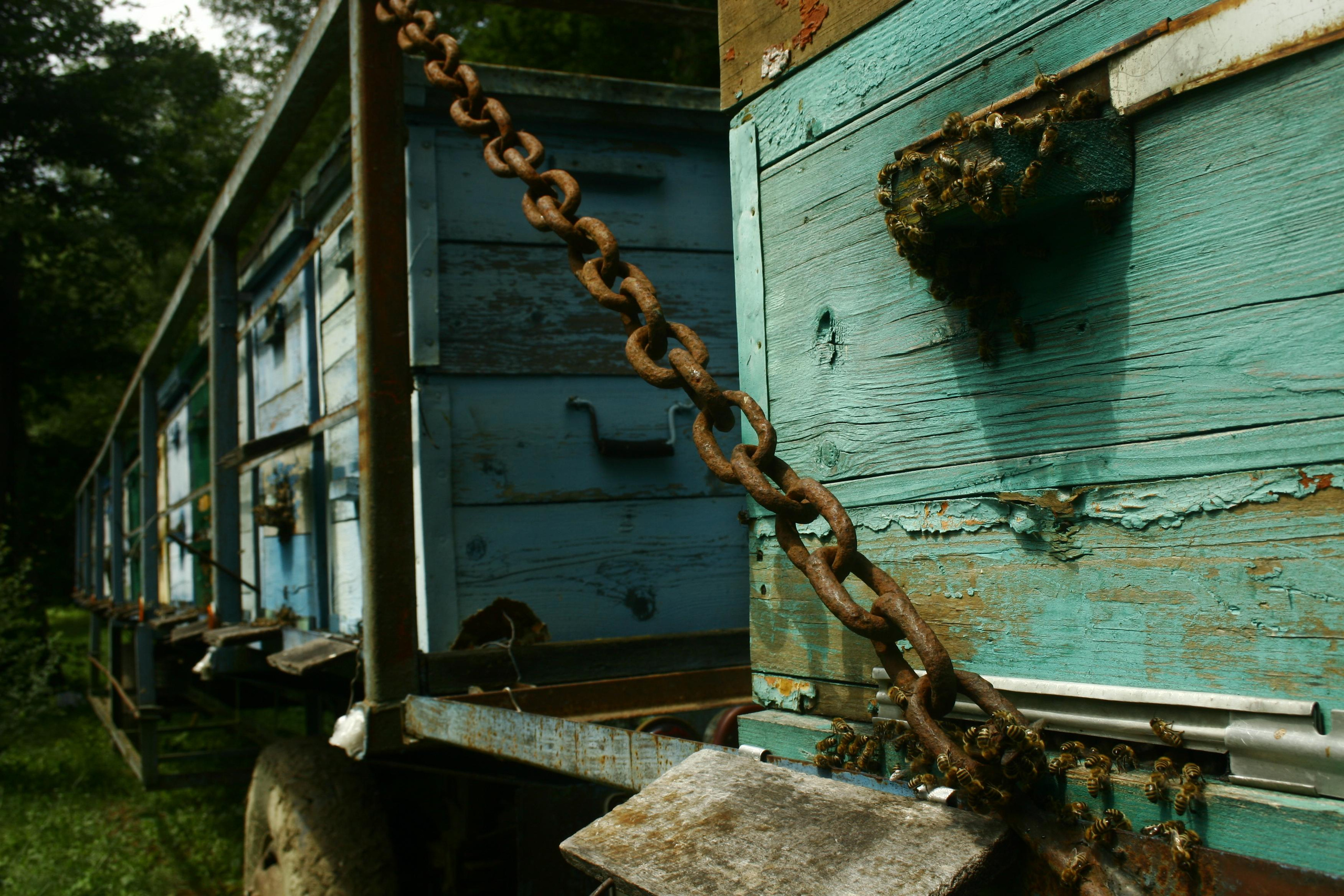 РоБин. Репортажный фотограф Антон Лаврененков