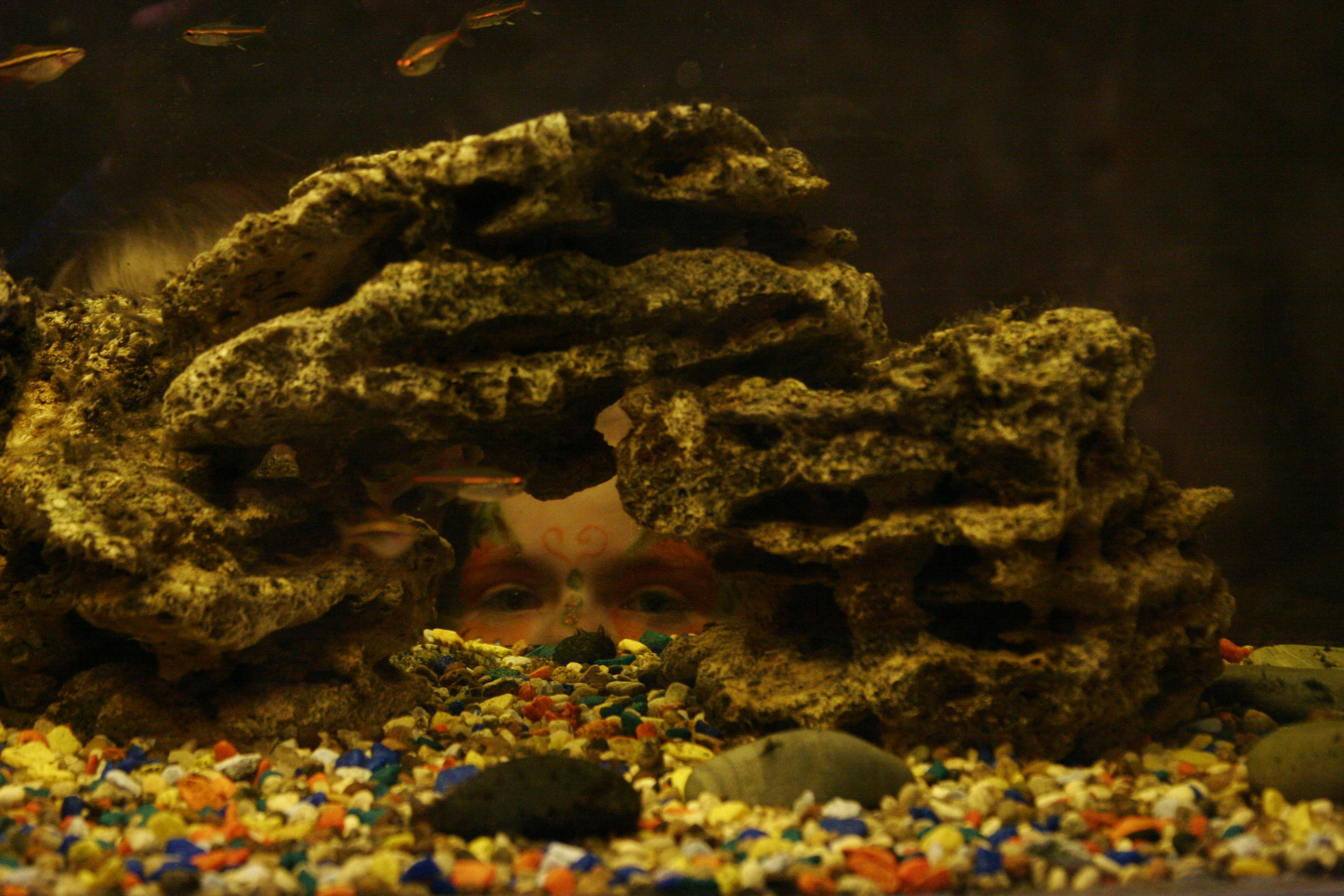 РоБин. Репортажный фотограф Антон Лаврененков