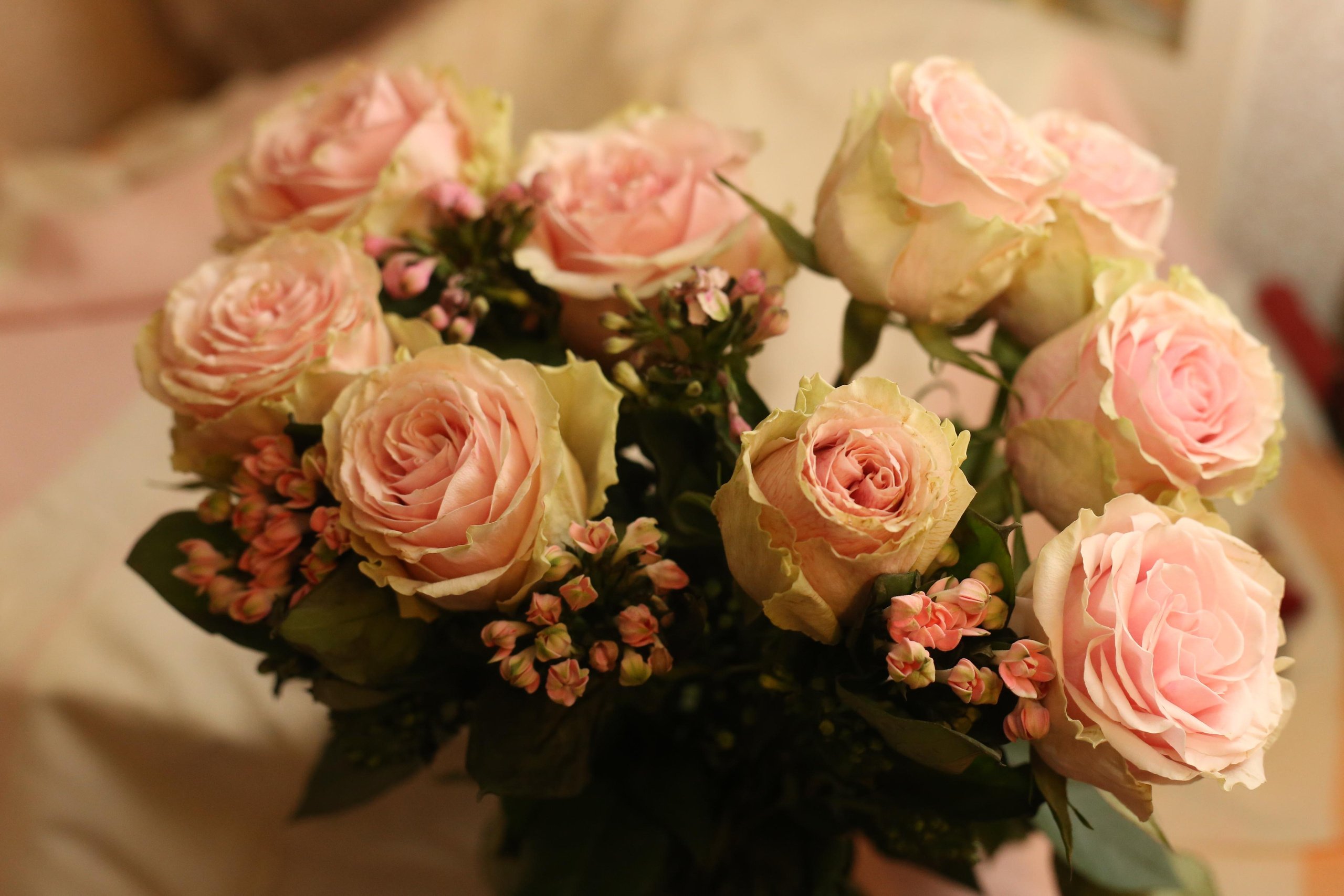 Истории. Репортажный фотограф Антон Лаврененков