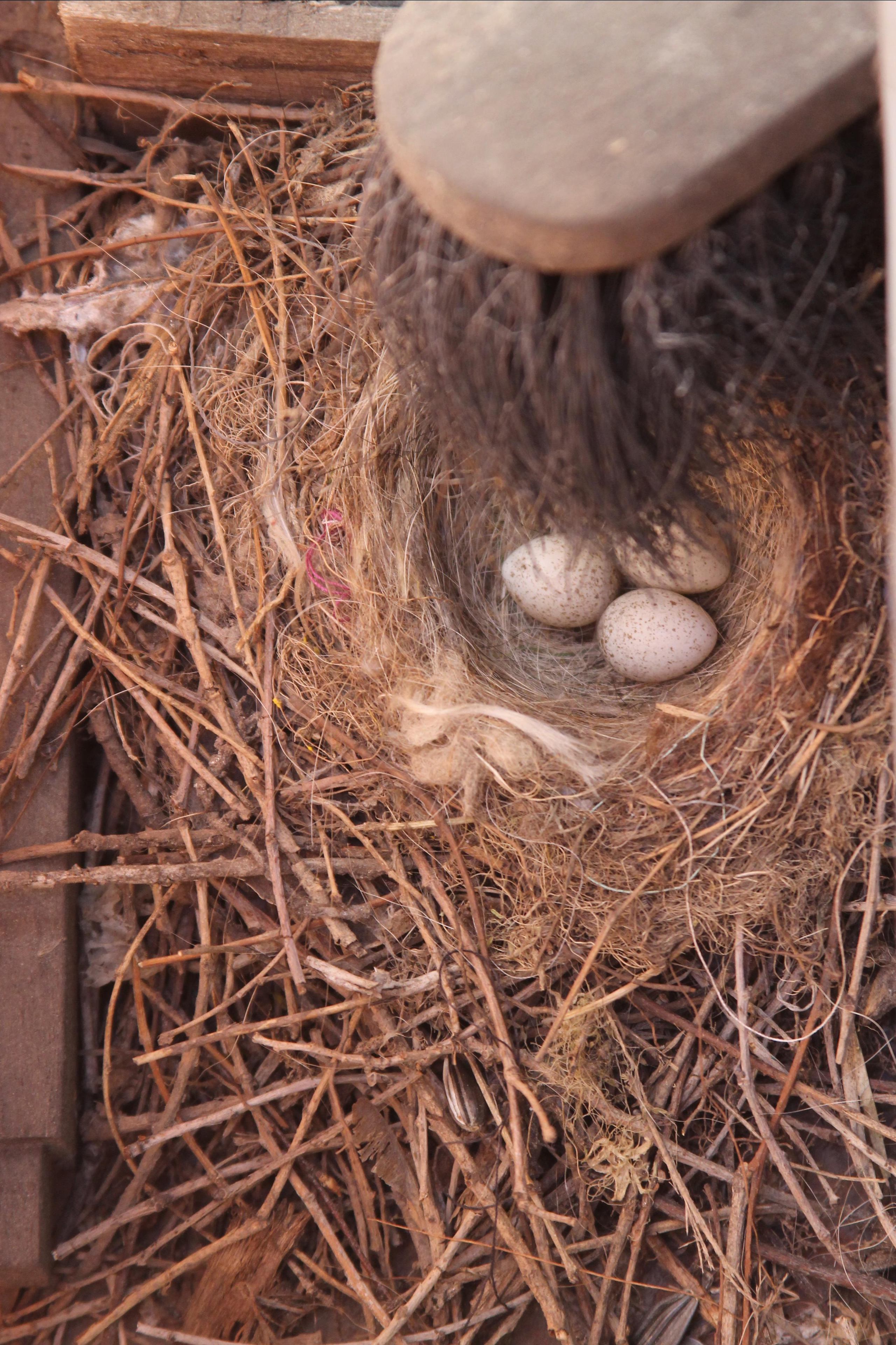 Вольт. Репортажный фотограф Антон Лаврененков