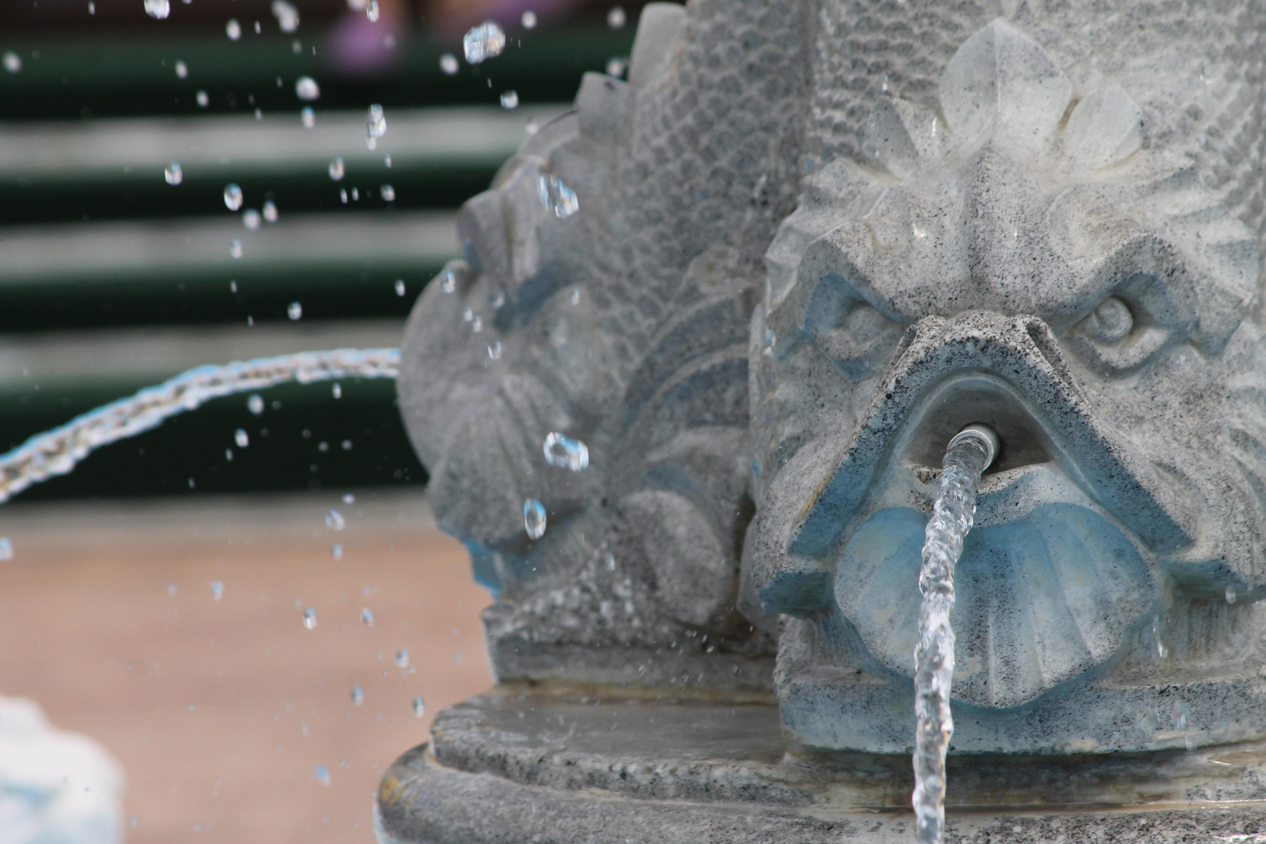 РоБин. Репортажный фотограф Антон Лаврененков
