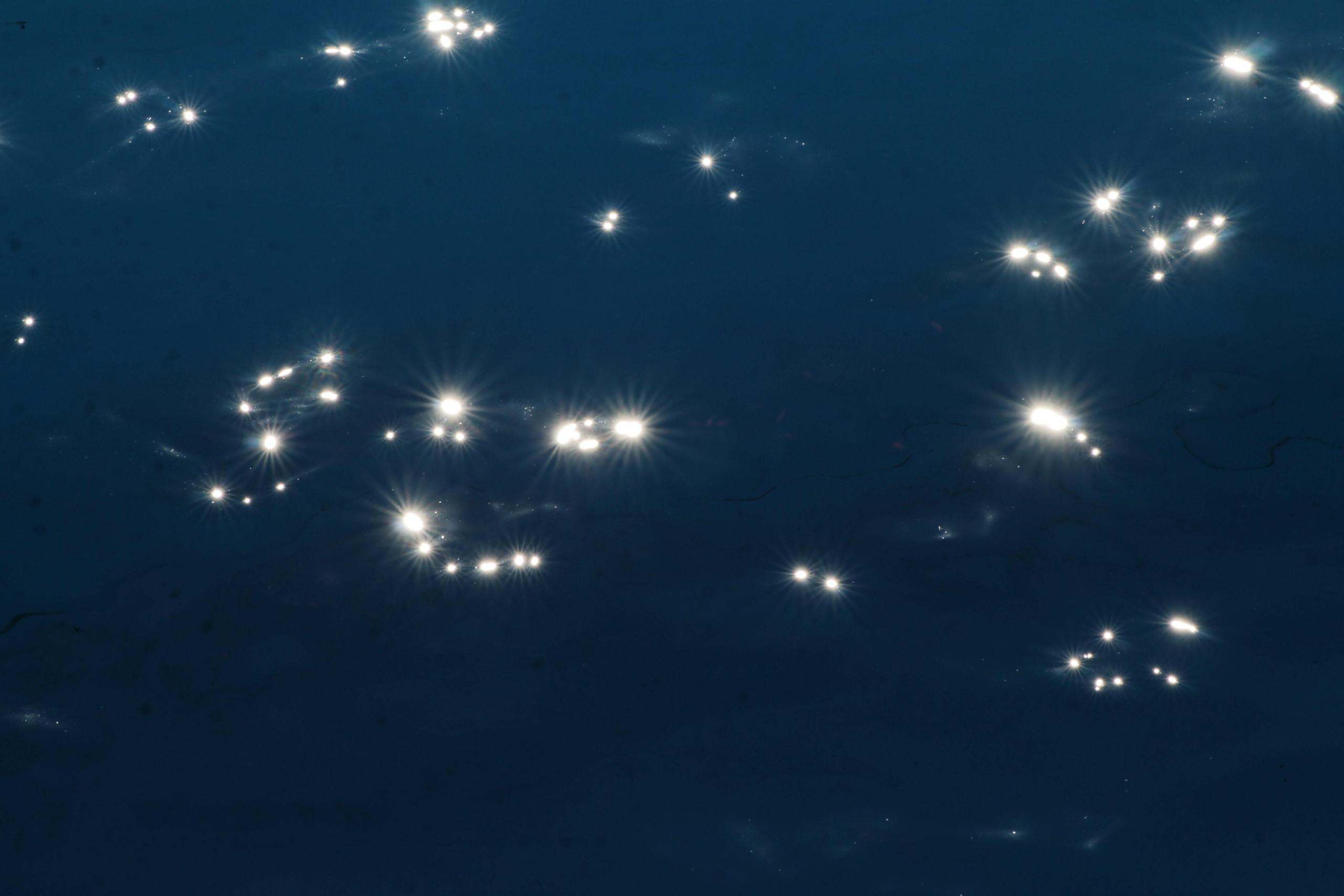 РоБин. Репортажный фотограф Антон Лаврененков