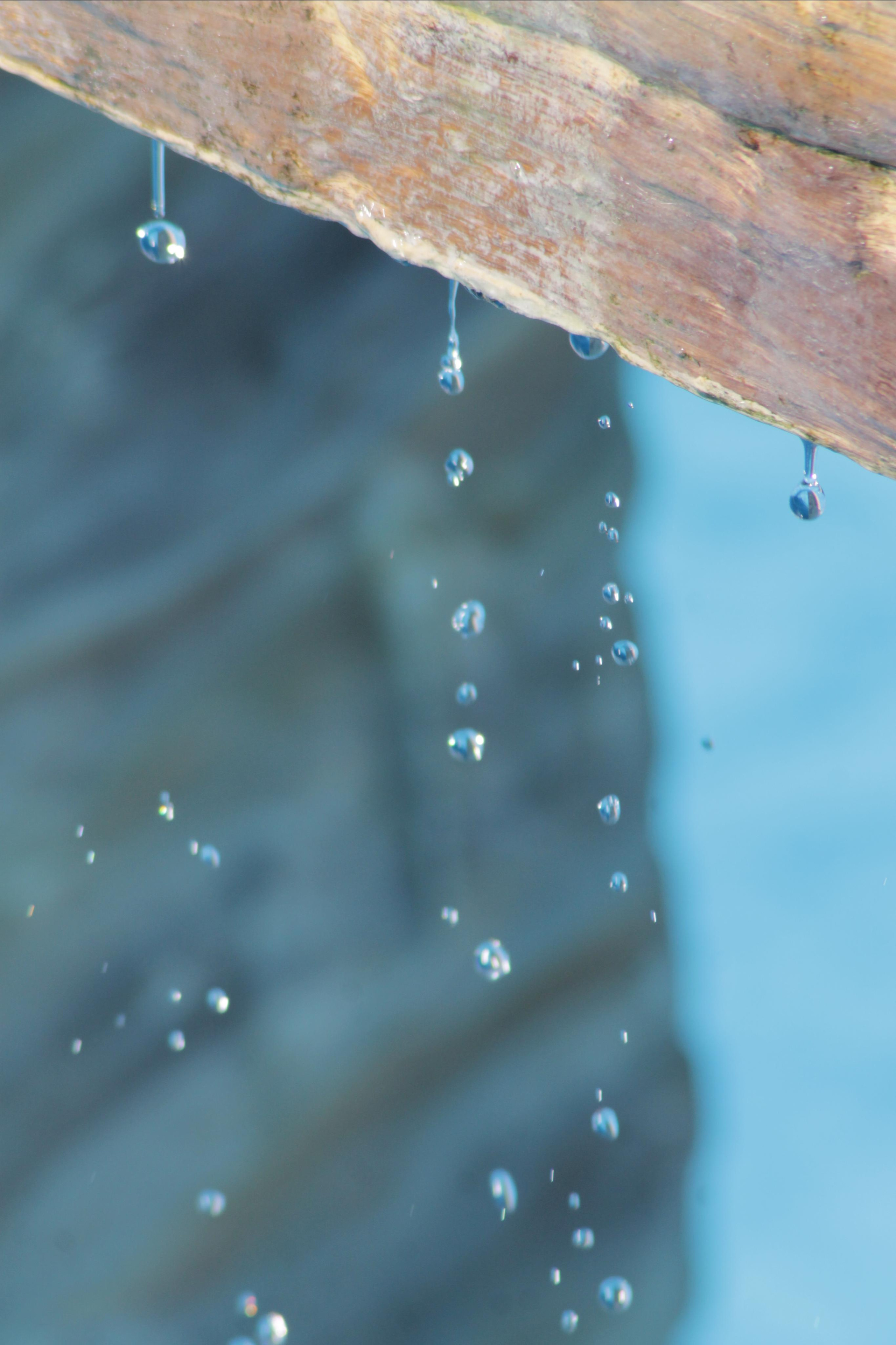 Вольт. Репортажный фотограф Антон Лаврененков