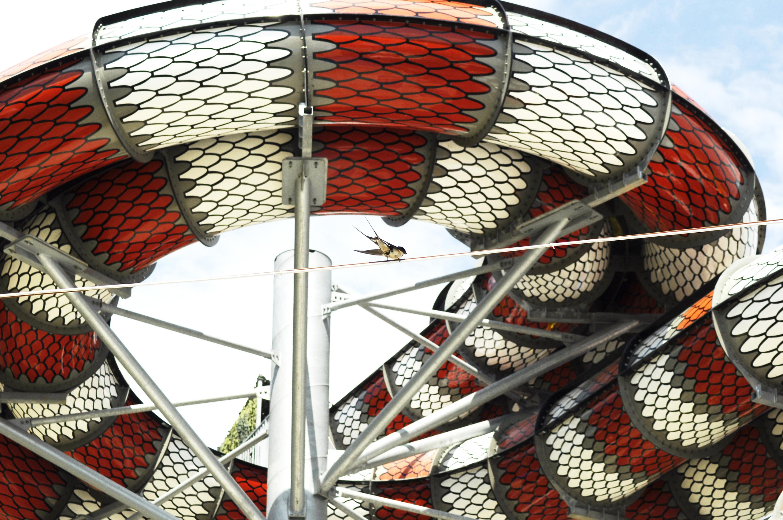 РоБин. Репортажный фотограф Антон Лаврененков