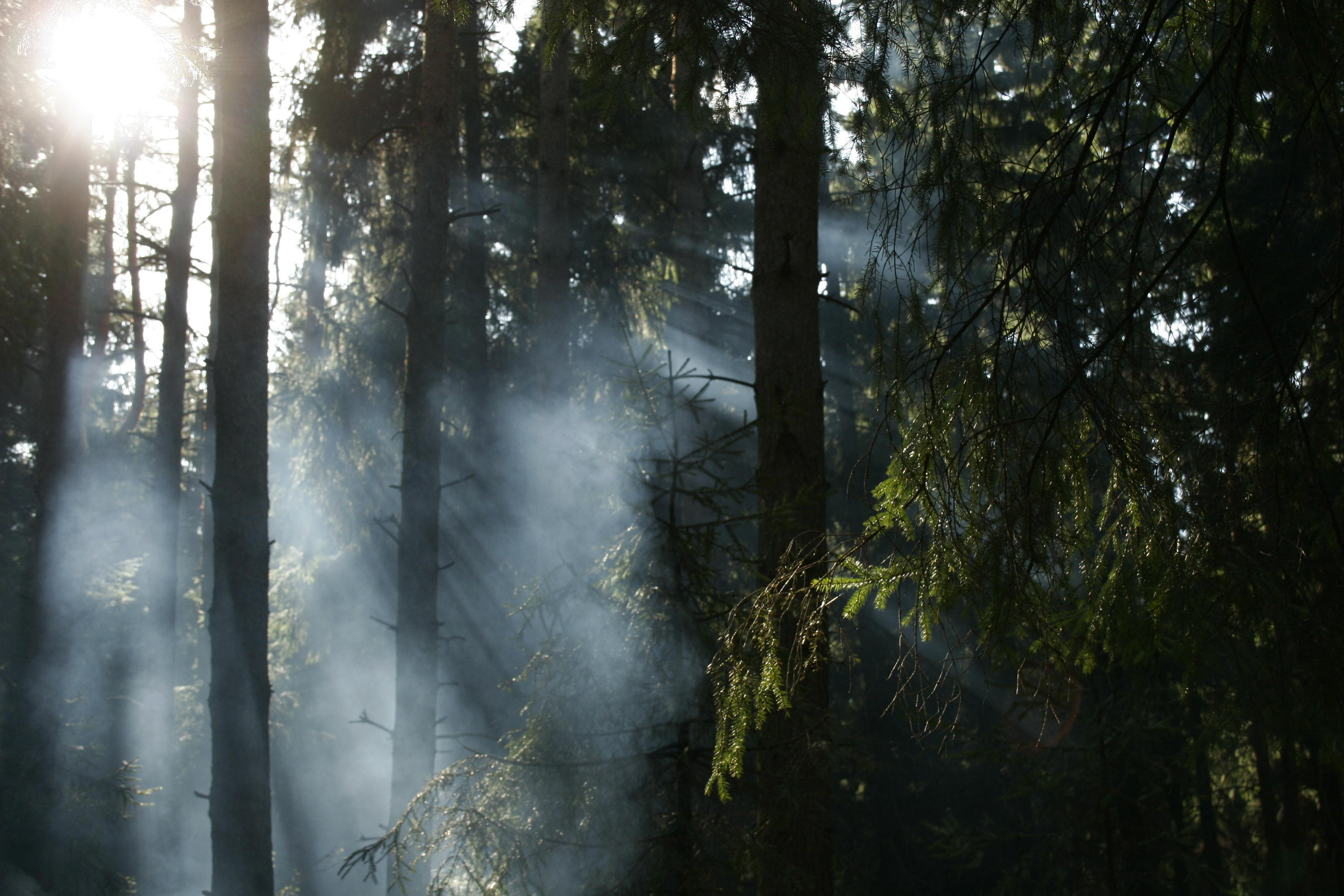Вольт. Репортажный фотограф Антон Лаврененков
