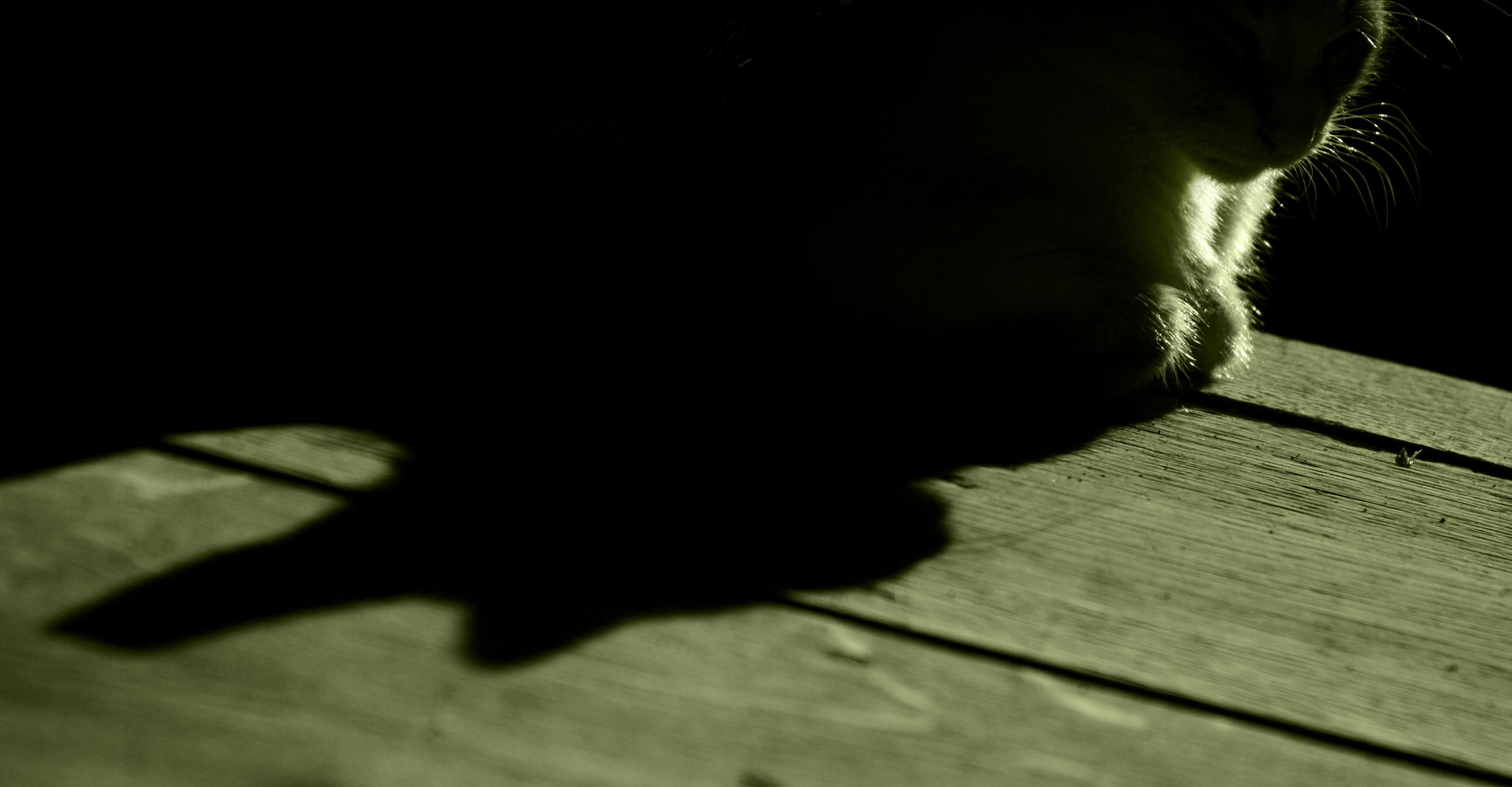 Ч\Б. Репортажный фотограф Антон Лаврененков