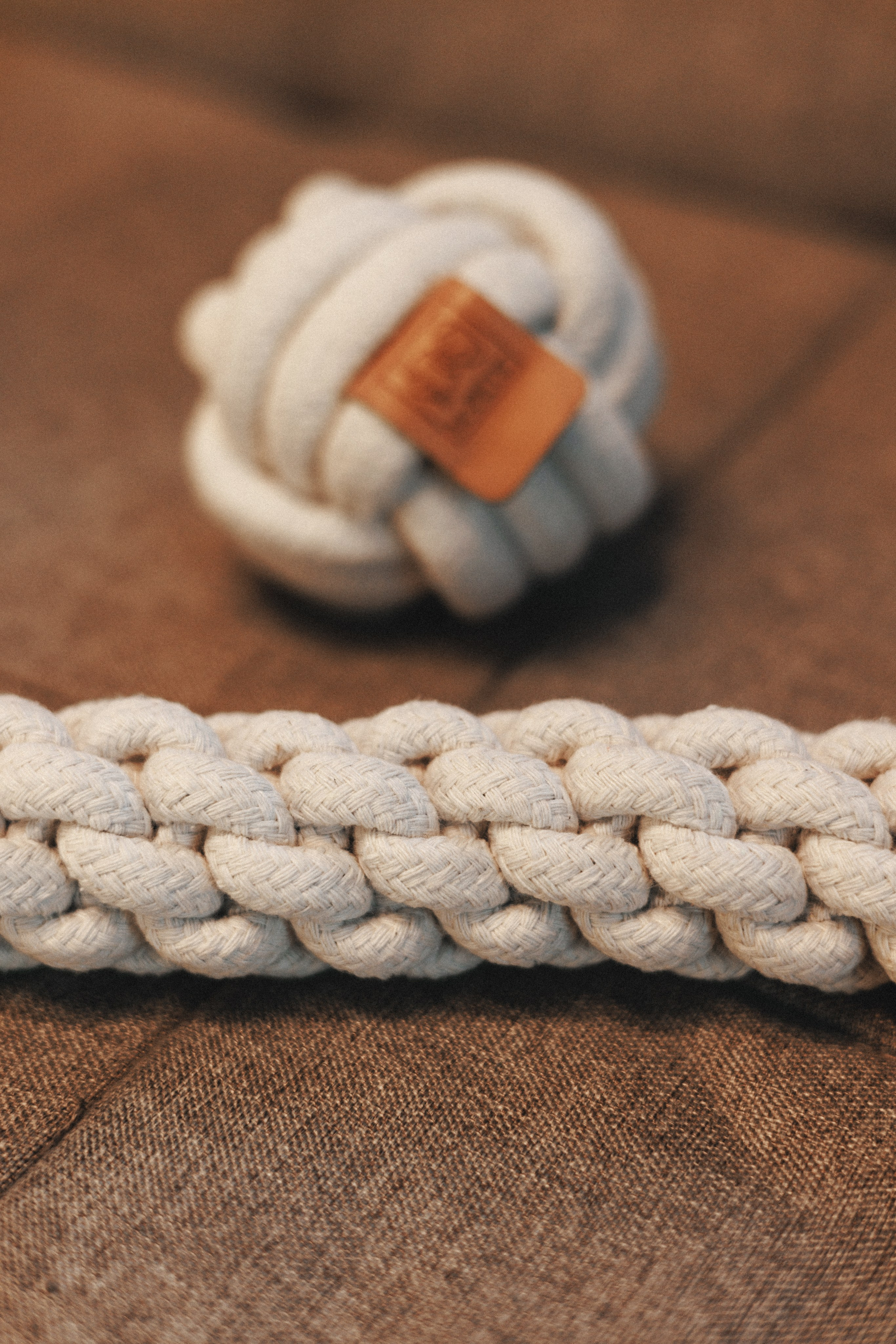 M-Pets. Фотограф анималист Осипчикова Мария