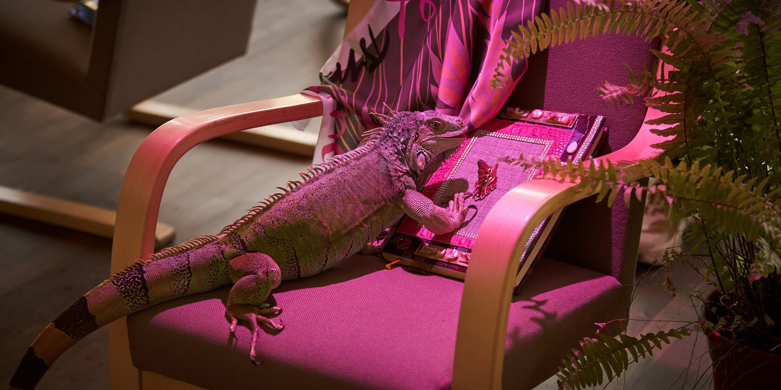 Фотограф Гринев Михаил