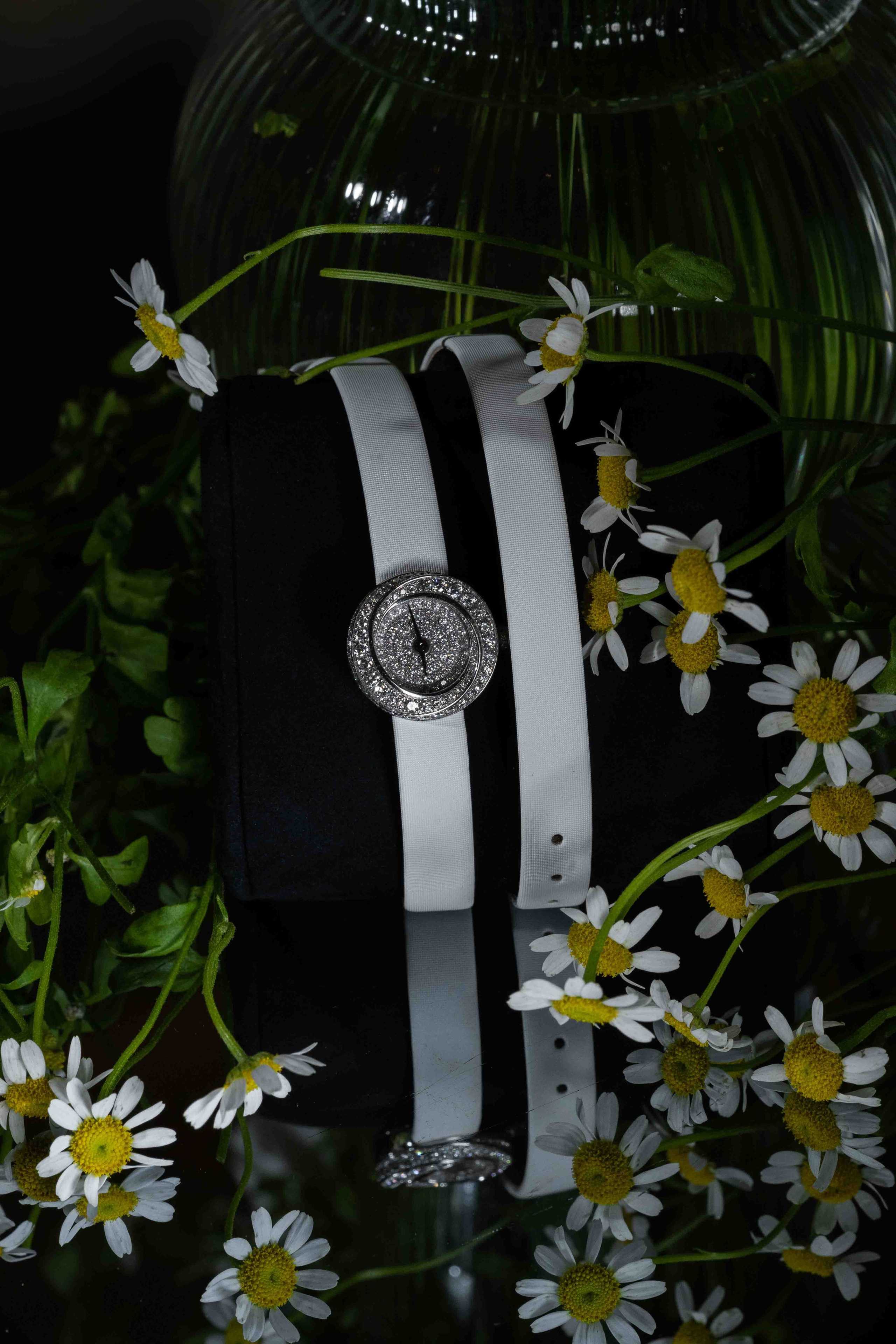 Арабская скромная помолвка дома (приватность на женские лица). Фотограф и видеограф в Москве и Абу Даби Мария Кулагина