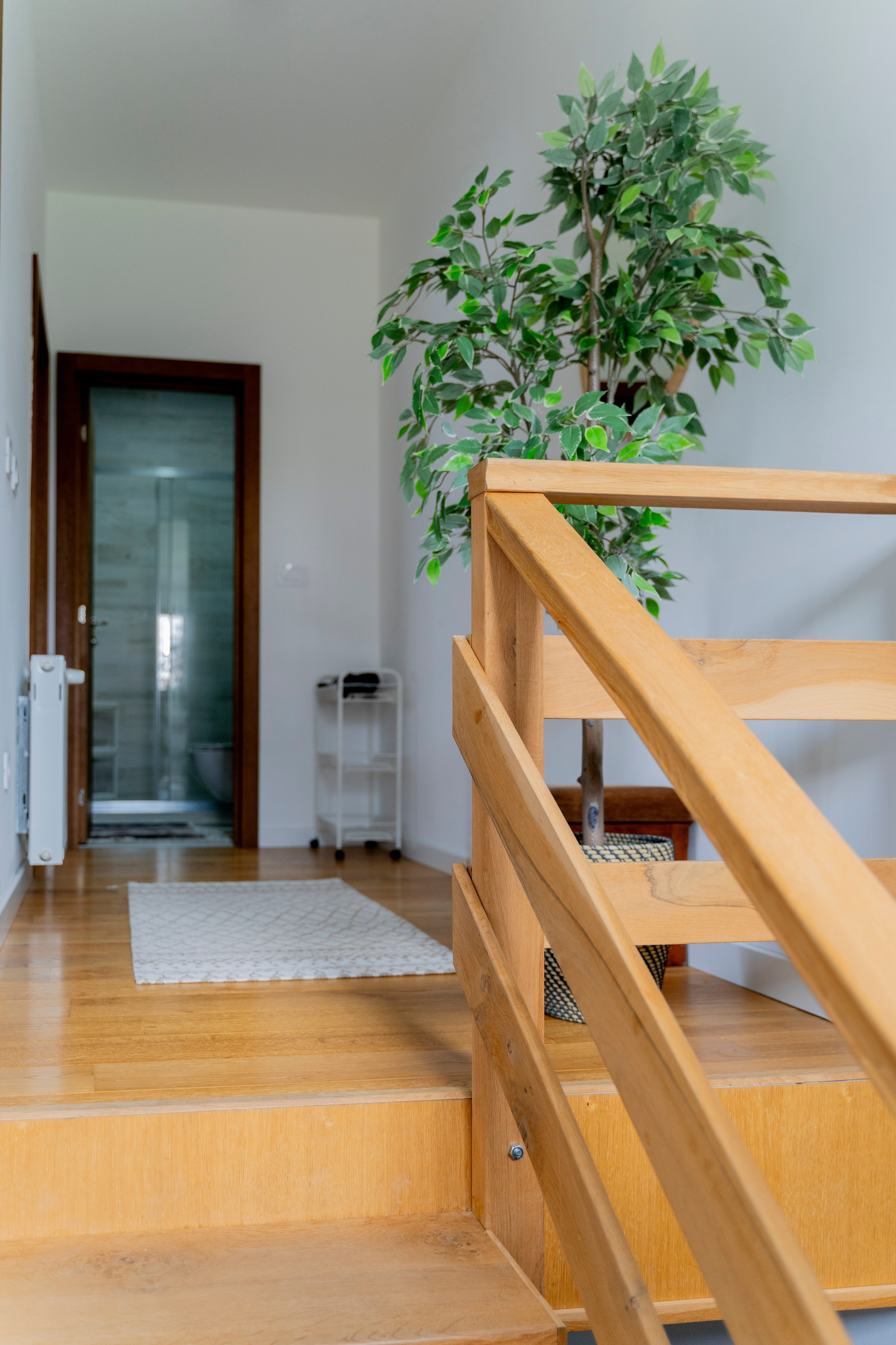 Apartman B30 Vidik Kopaonik. Меня зовут Лиана.я видеограф и фотограф 📍 Работаю в Москве и МО