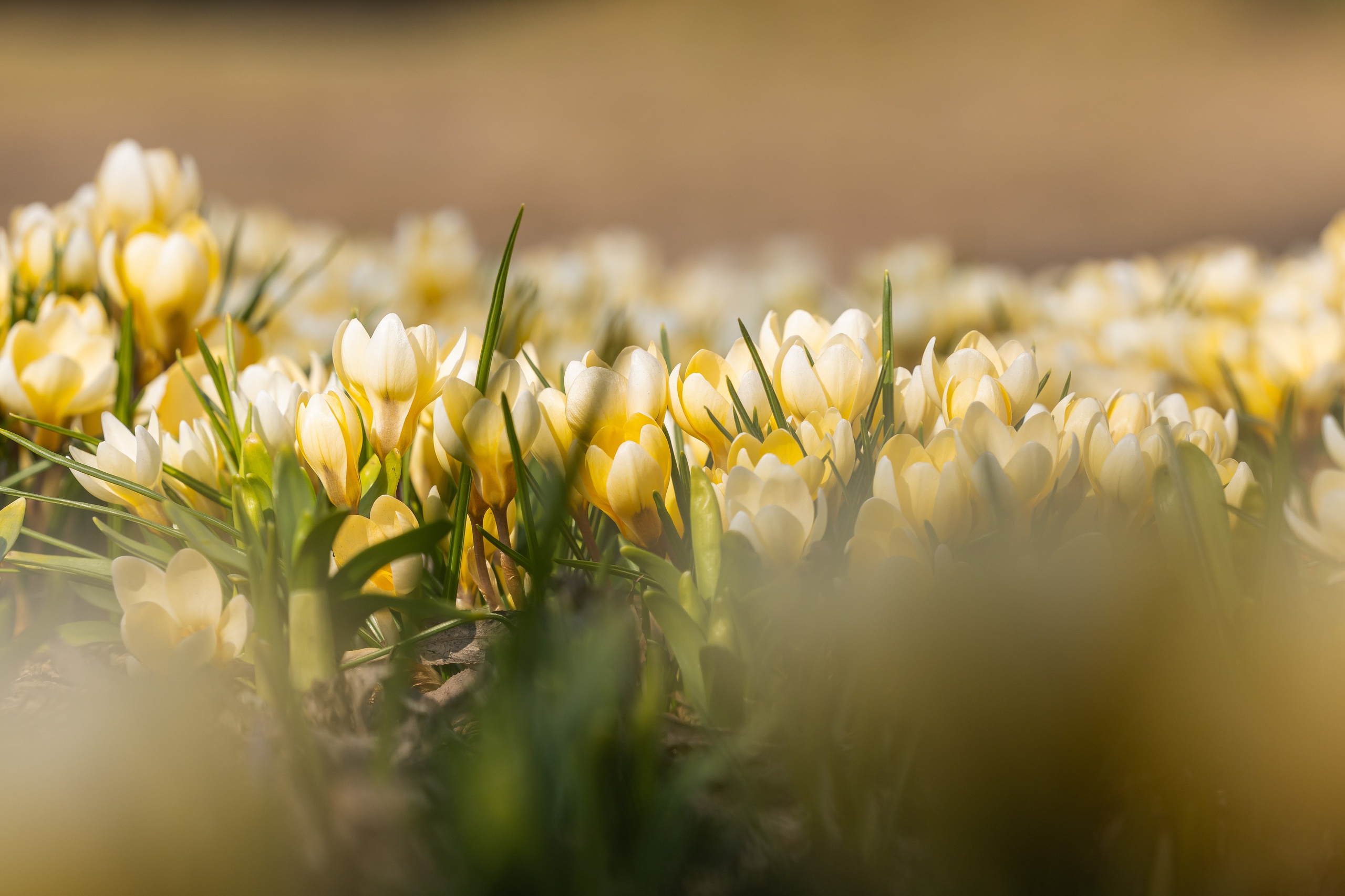 Городской пейзаж. Фотограф Владимир Охрименко