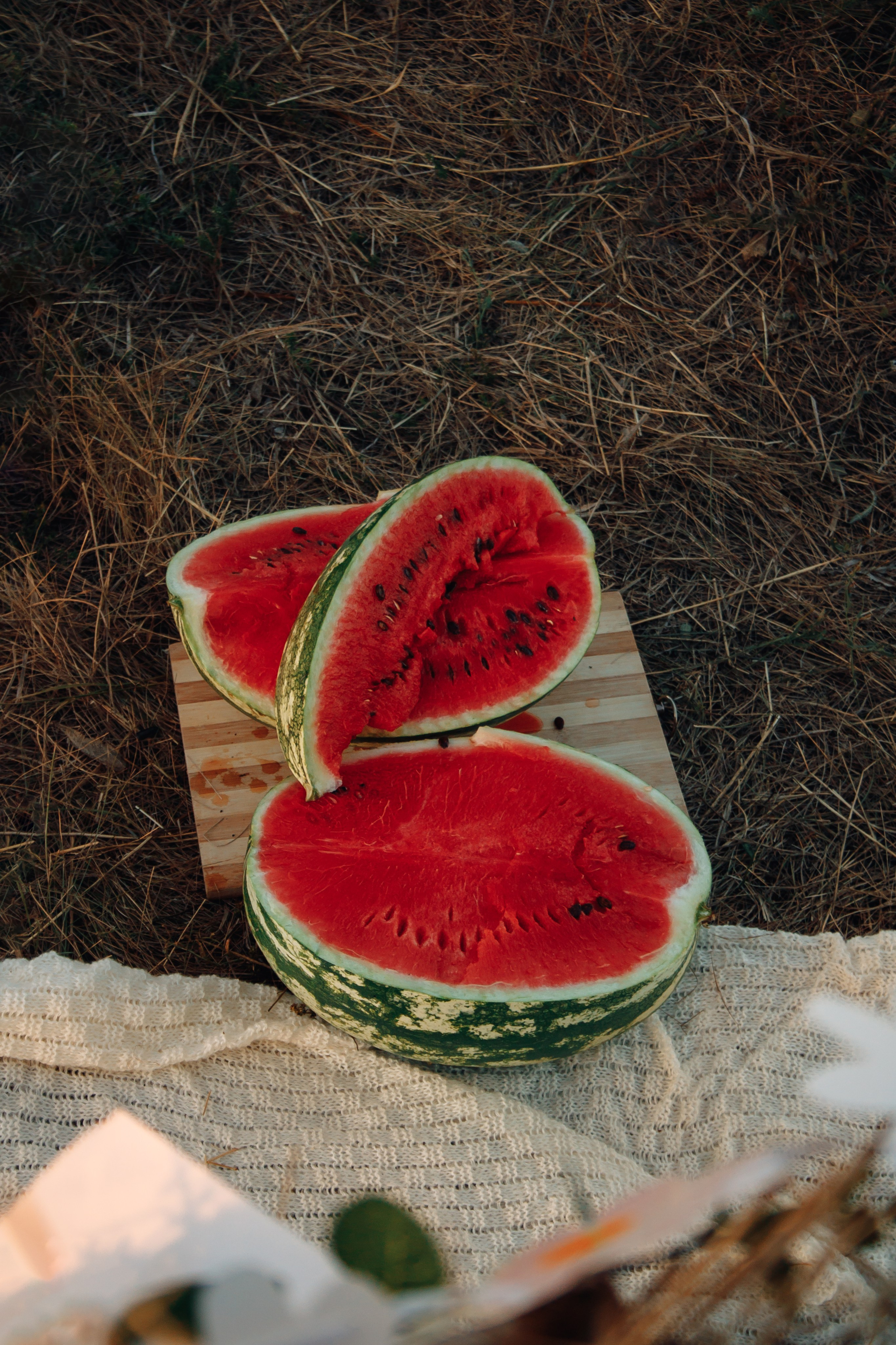 Семейная фотосессия на природе. Свадебный и семейный фотограф в Краснодарском крае Мария Данилкина