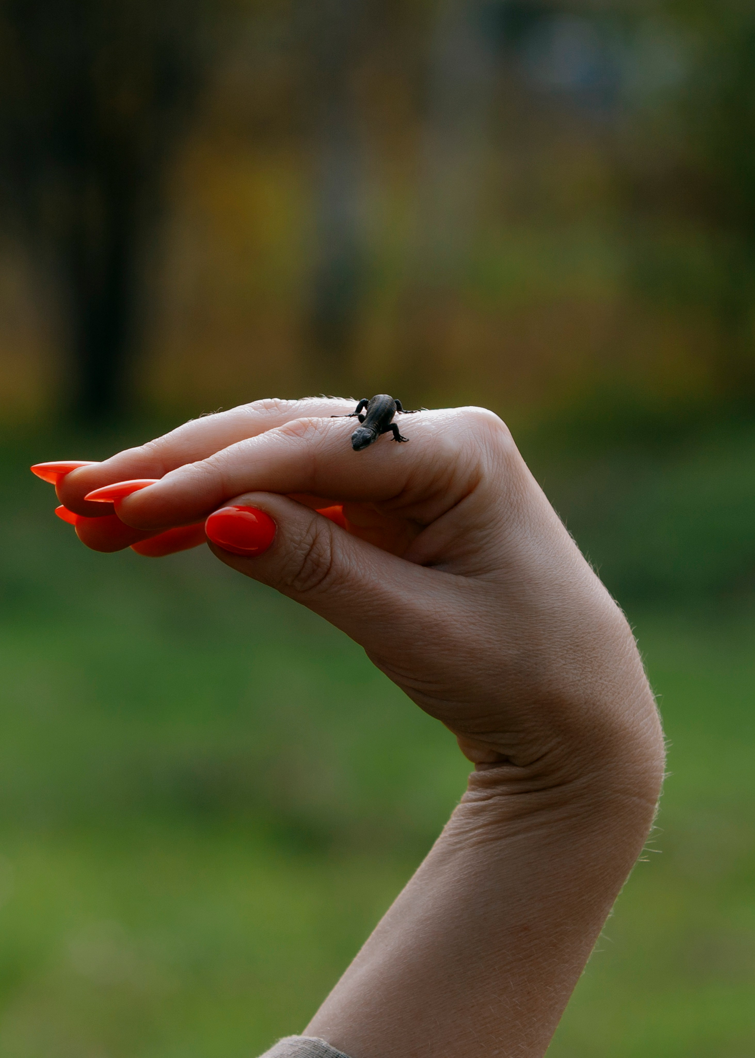 Квалификационные испытания. Сдача на шеврон «Боевая Единица». Портретный фотограф в Москве Дарья Цезария