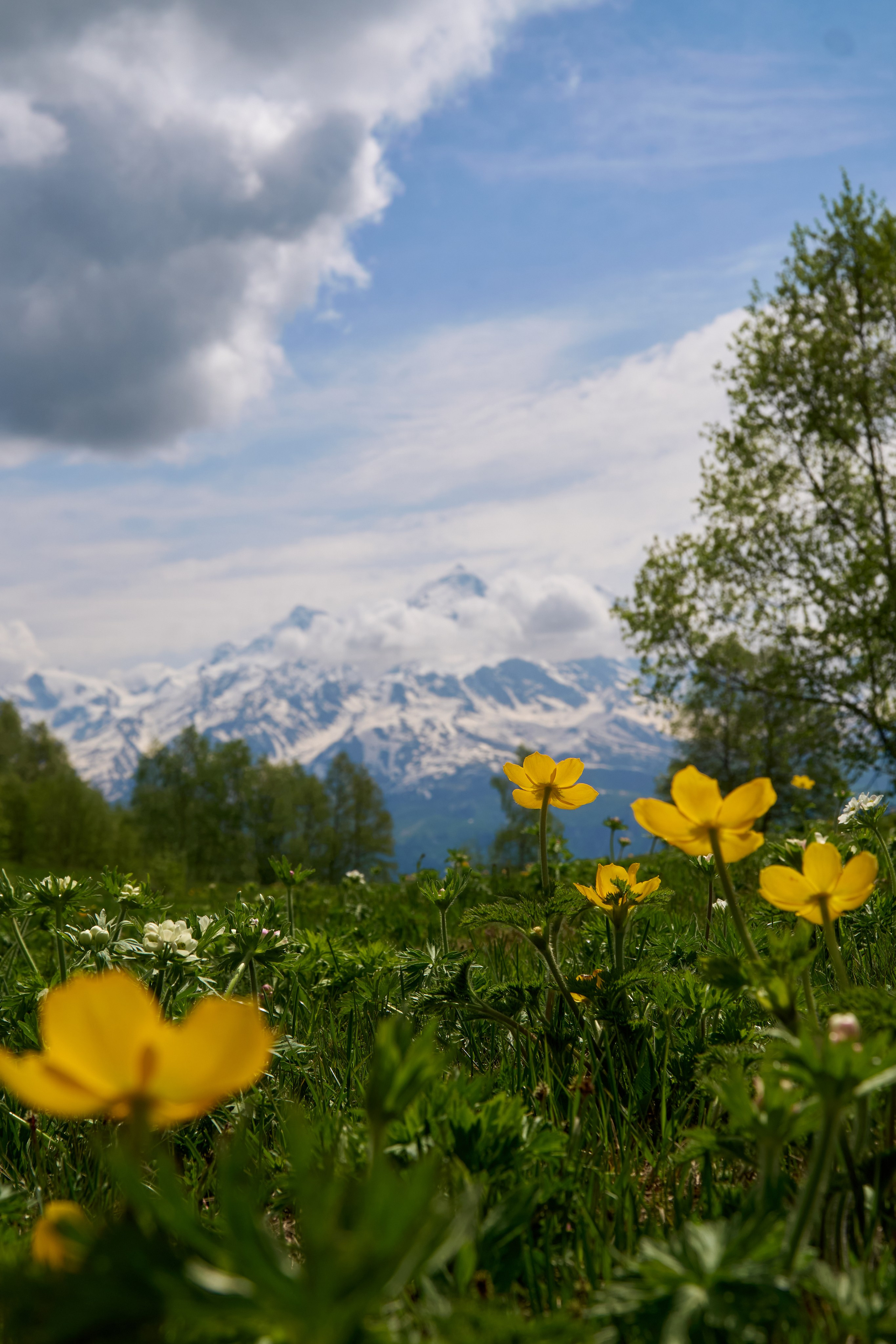 Путешествие по Грузии — фотосессия и репортаж | Филипп Линзин. Репортажный и портретный фотограф в Санкт-Петербурге Филипп Линзин