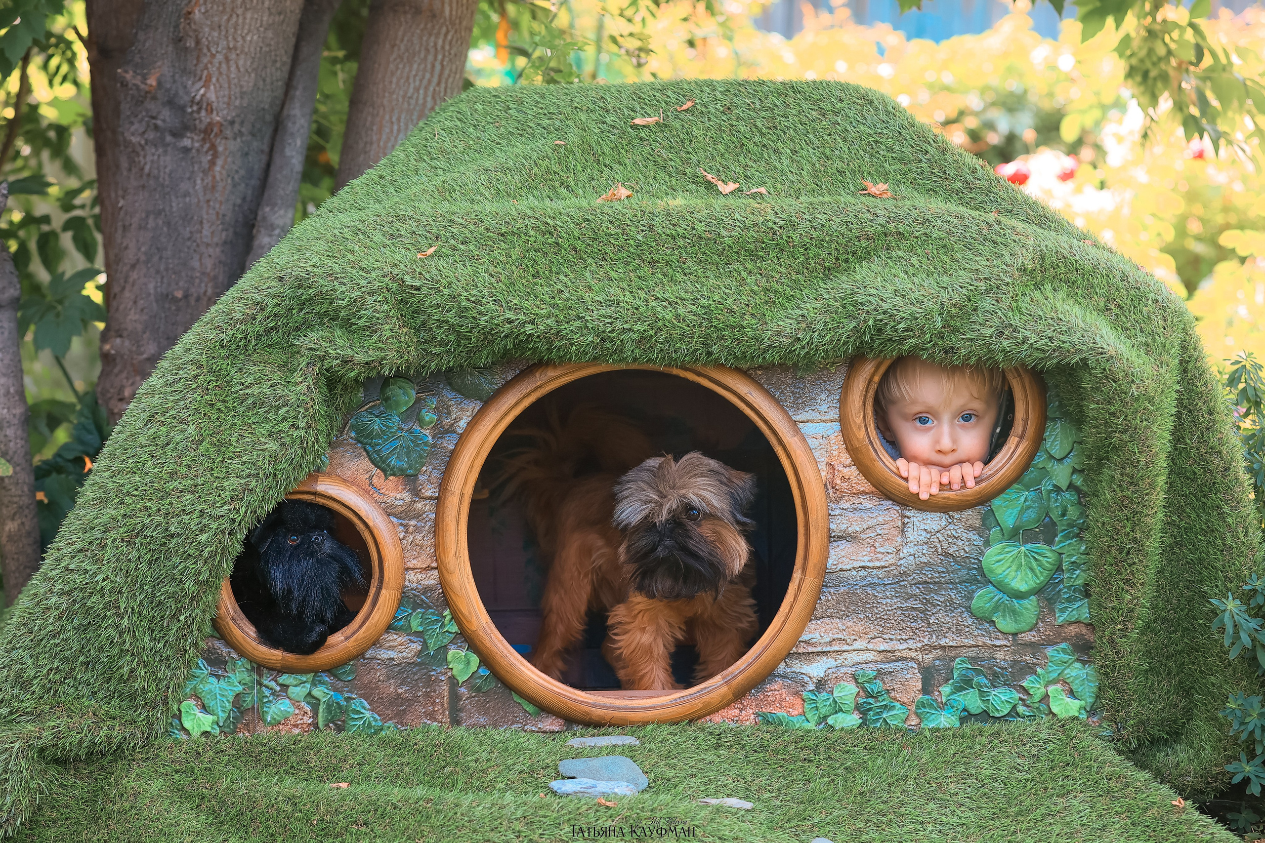 Домик для хоббитов, фотозона, властелин колец, шир, хоббиты, гномы, брюссельский гриффон, малый брабансон, фотосессия, ручная работа, фотограф анималист, фотограф Новосибирск
