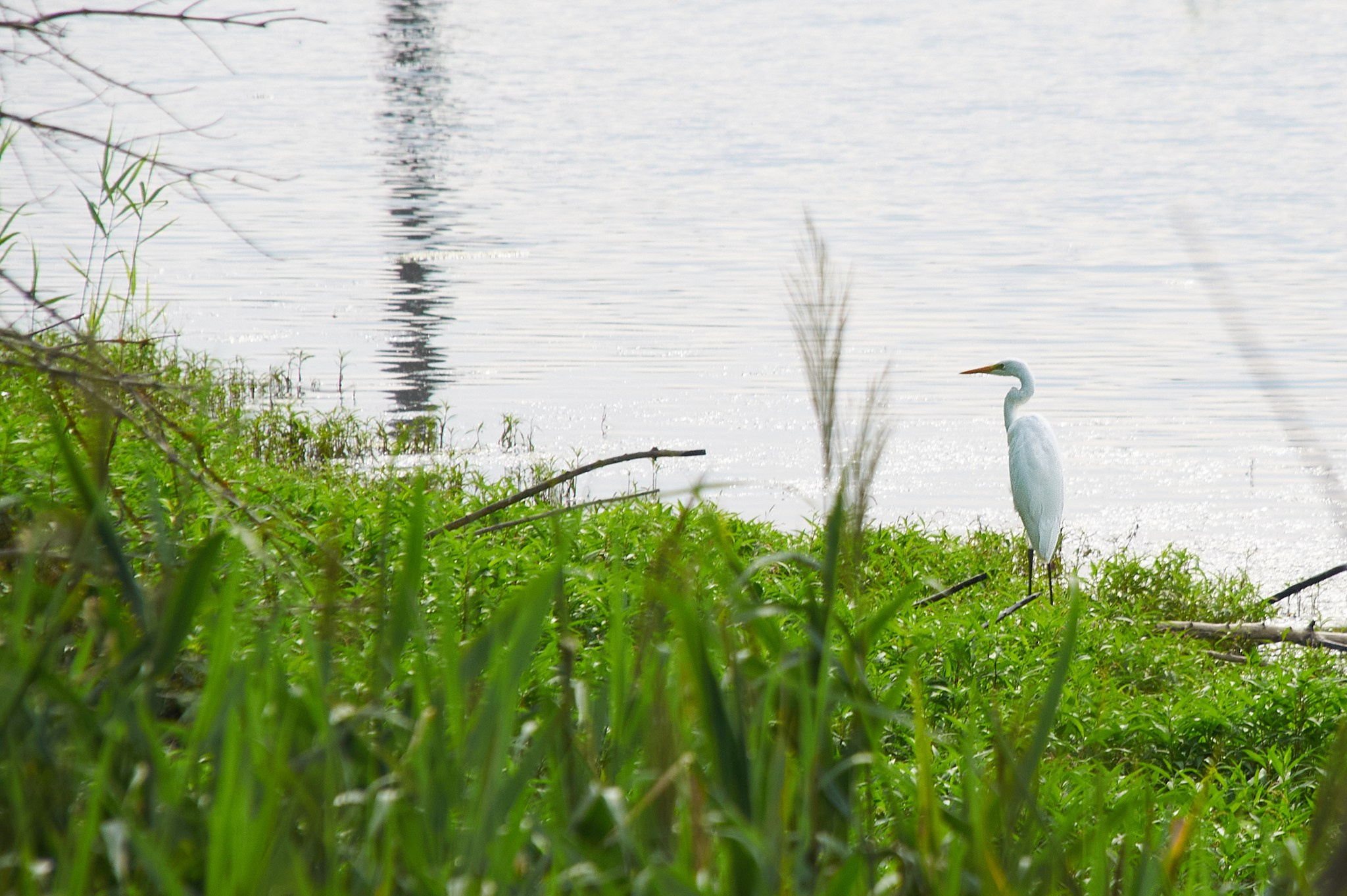 Координаты красоты — география в фокусе