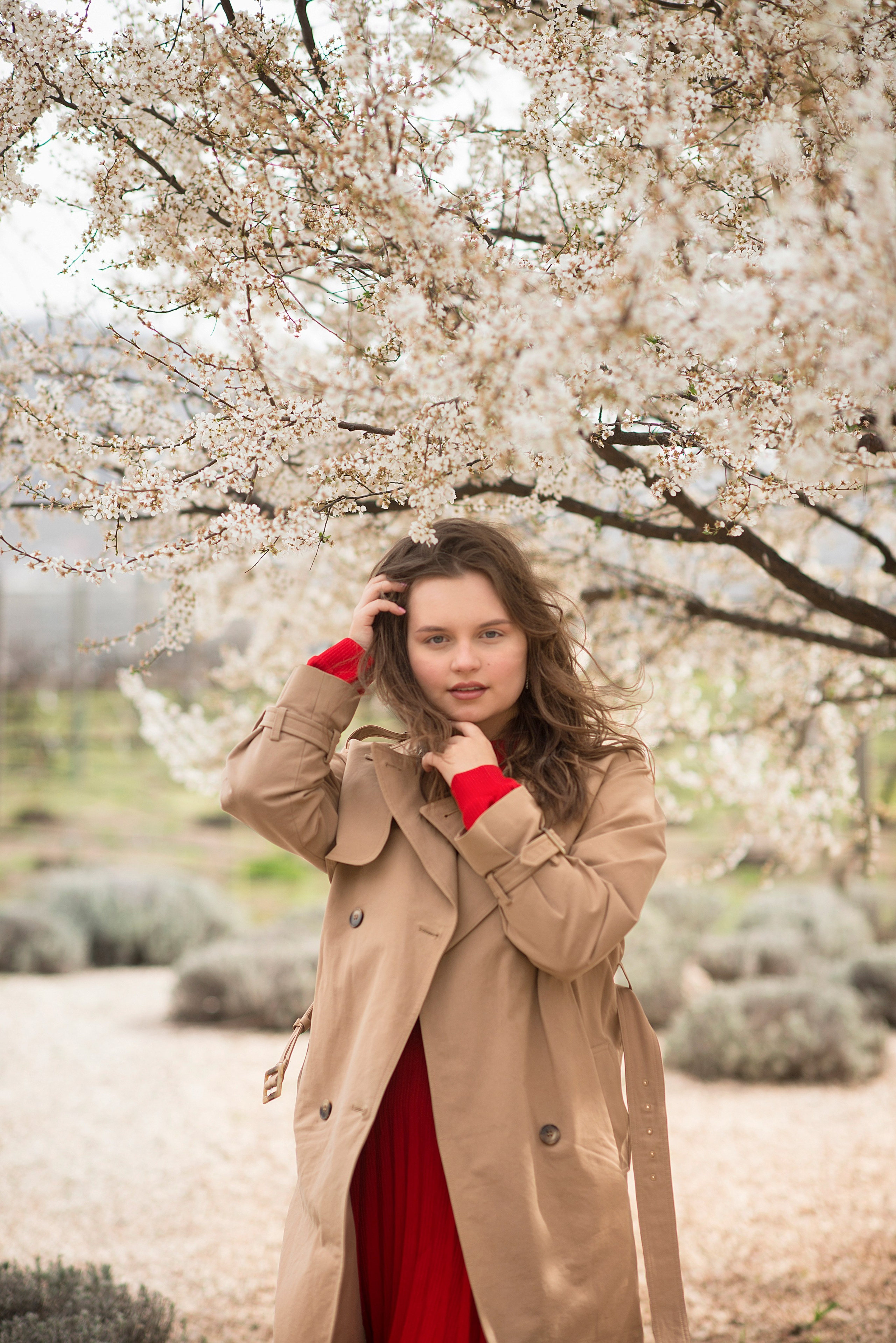 В цветущем миндале. Семейный и детский фотограф в Севастополе. Семейный фотограф в Ялте