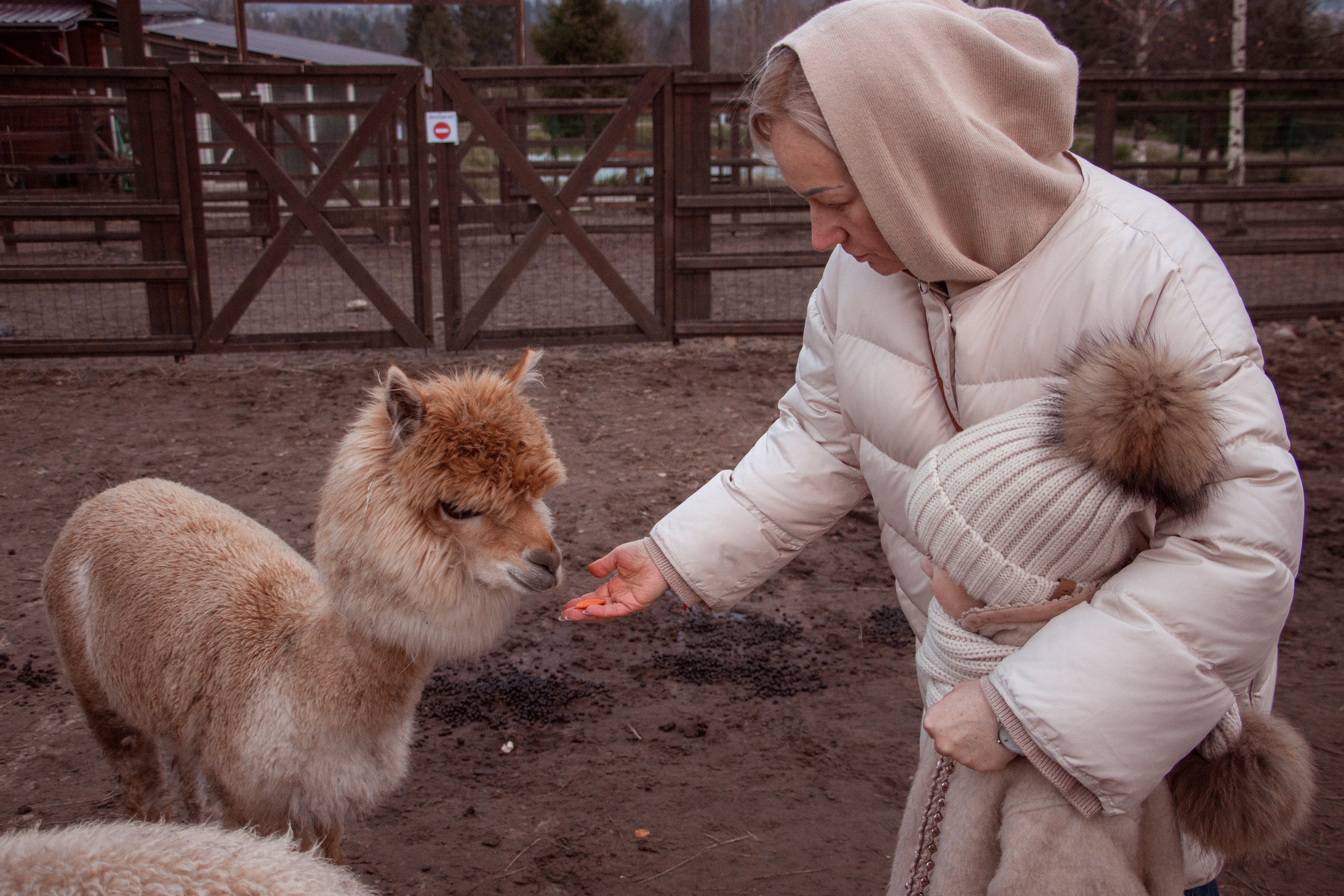 Семейная съёмка. Семейный и детский фотограф в Одинцово Архипчук Кристина