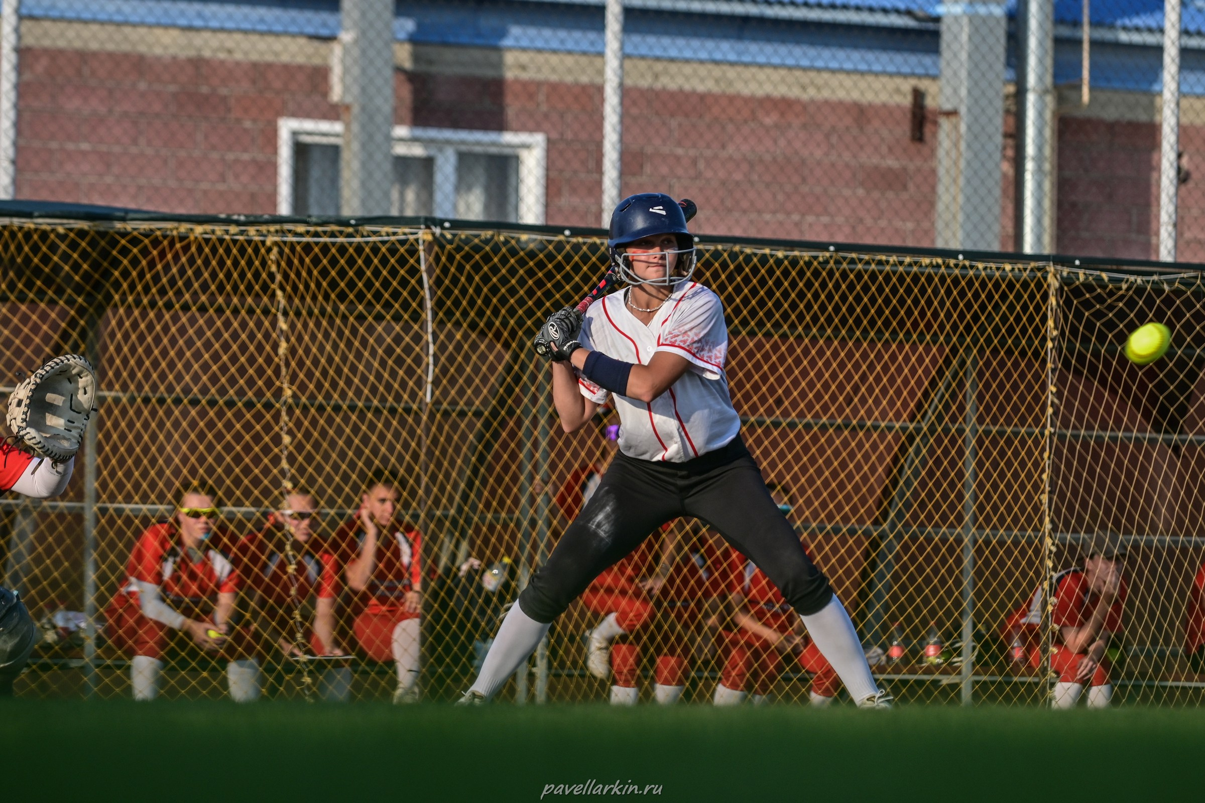 Софтбол: Финал юношеской спартакиады 2025 года. Спортивный фотограф, фотожурналист Павел Ларькин