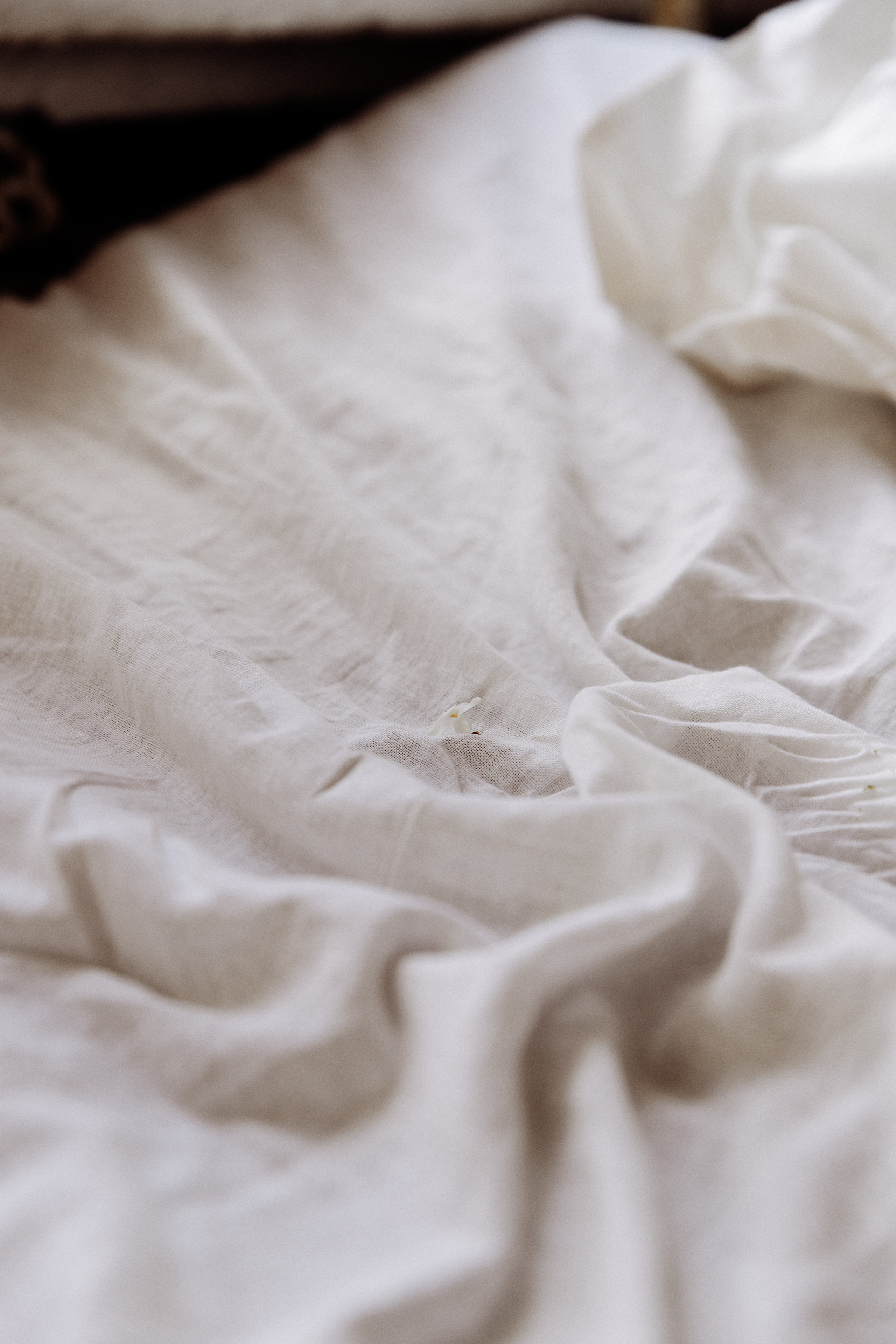 Сирень Настя. Свадебный фотограф в Самаре и Тольятти Полина Никитина