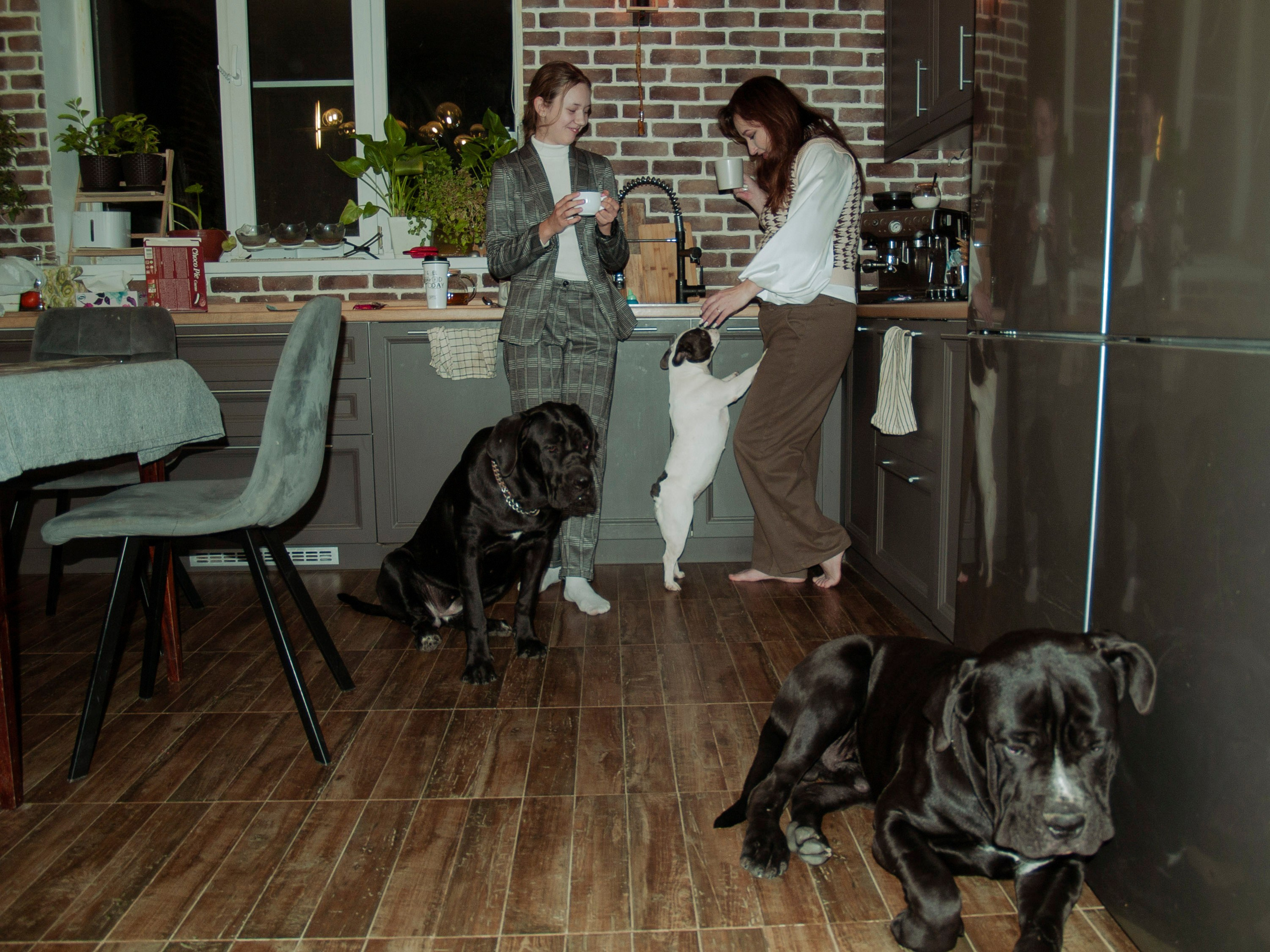 Home. Фотограф Елизавета Маслова. Москва. Art, Fashion