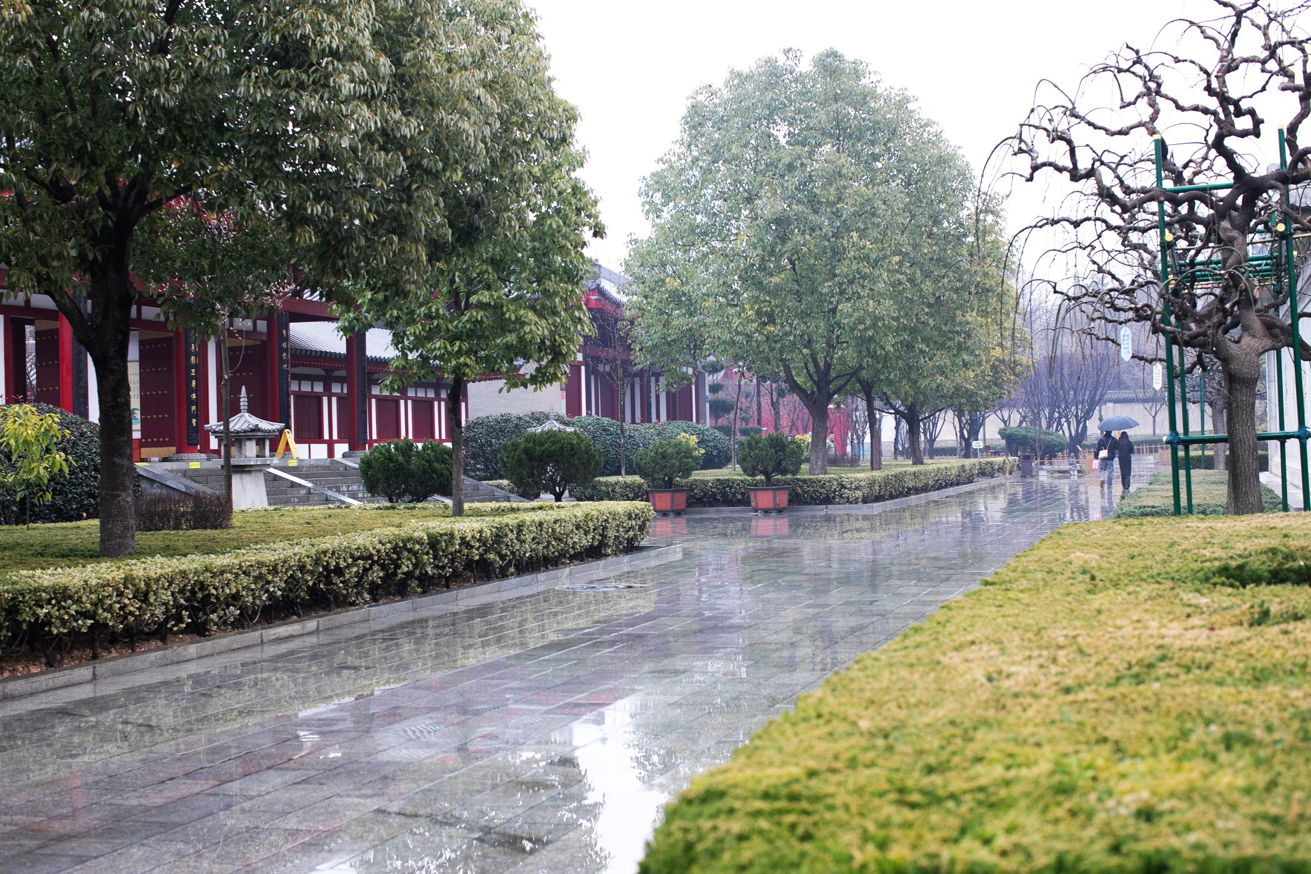 Китай'25: Пекин-Сиань-Шанхай. Фотограф-портретист в Москве