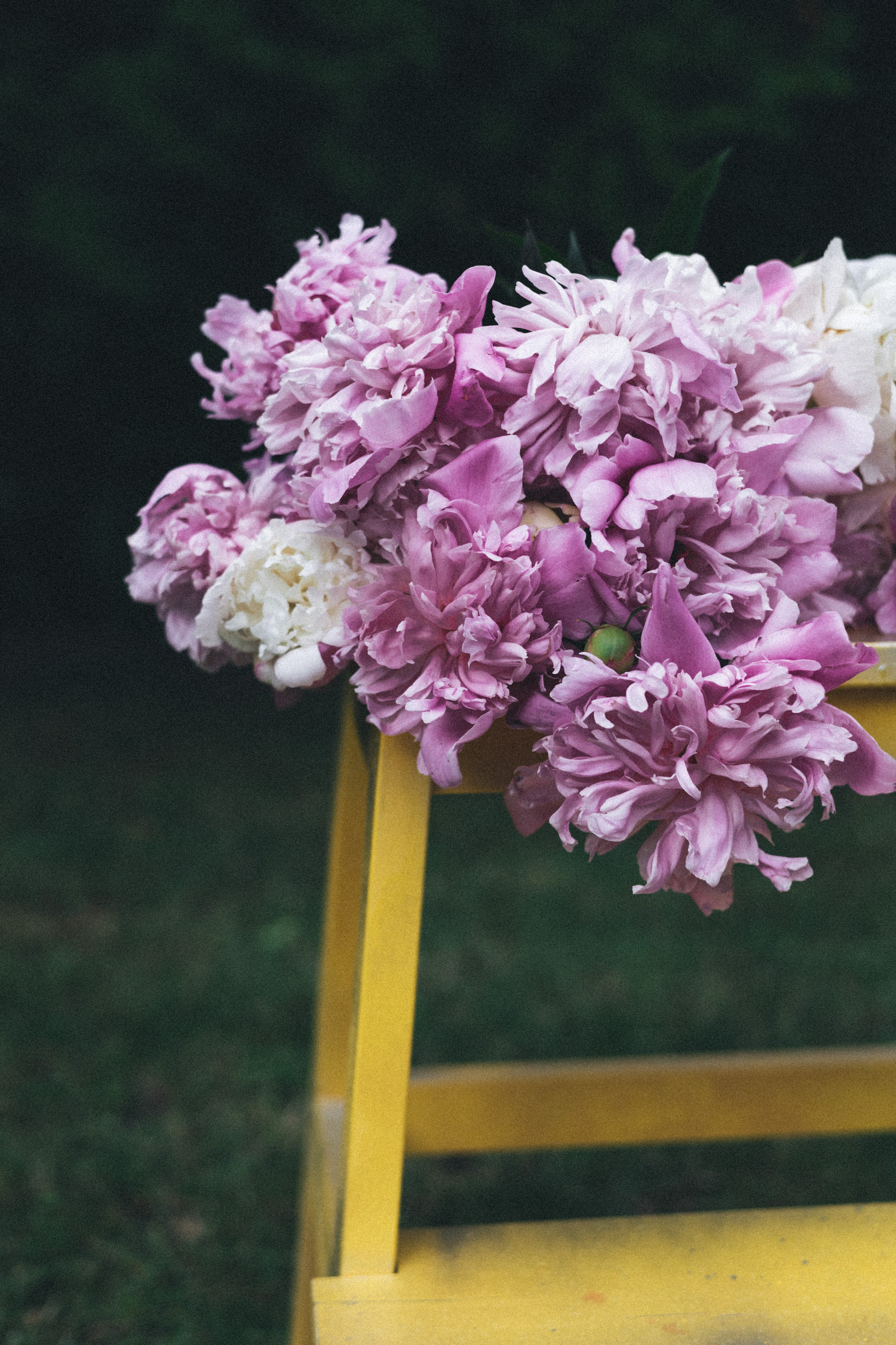 Девушки. Фотограф Оксана Пономарева