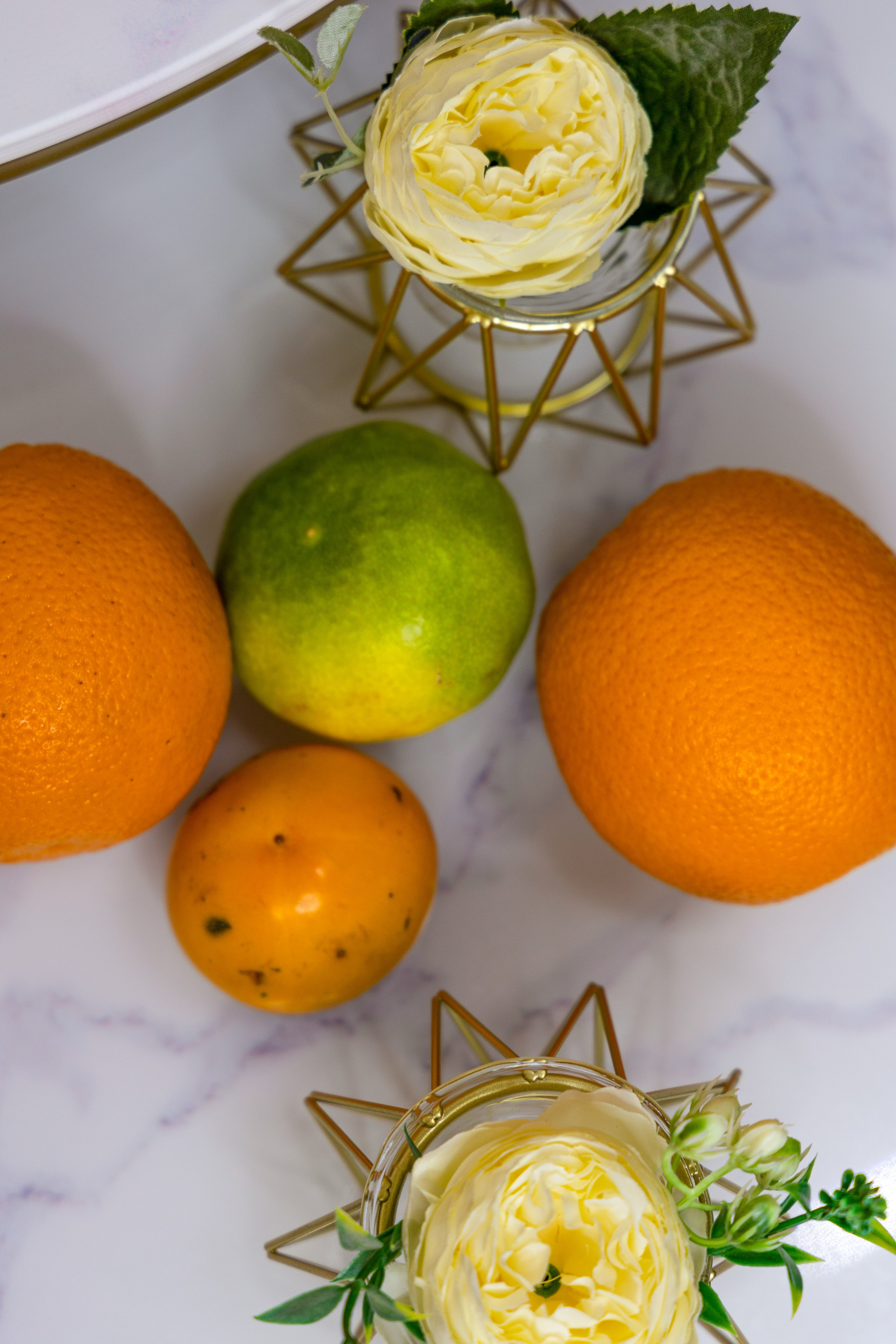 Зара. Фотограф Москва Людмила Белова